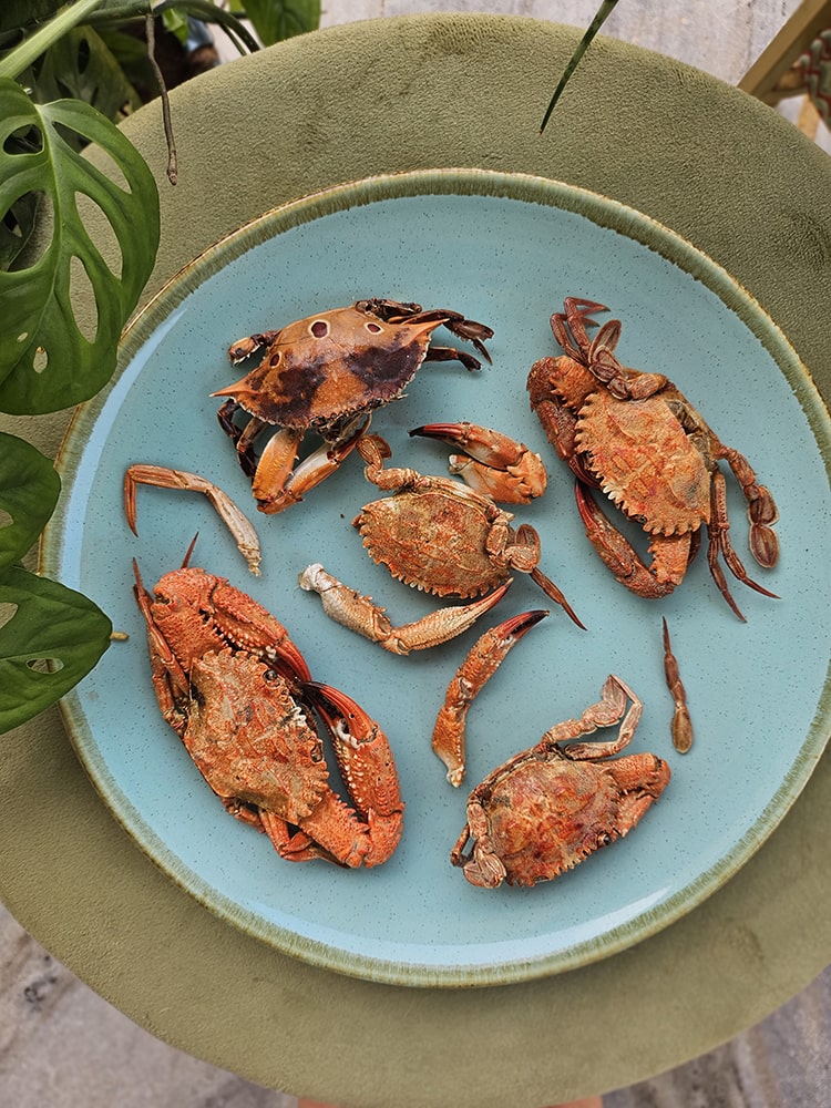 Whole Crabs 🦀 | Omega 3, essential minerals & protein