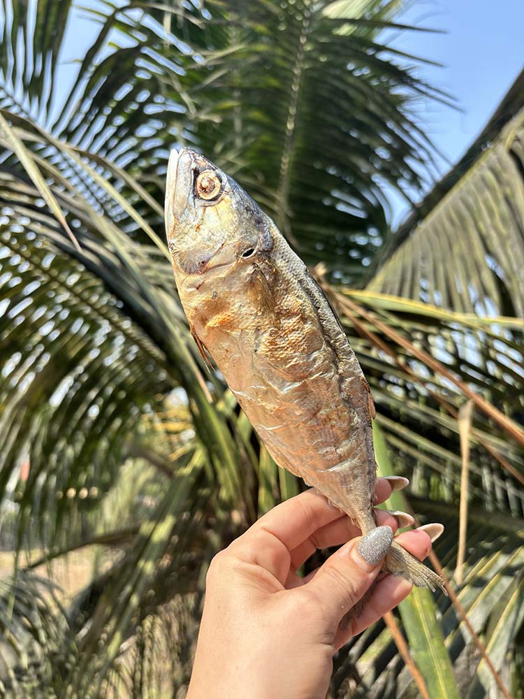 Whole Fish (Anchovy, Sardines, Mackerel or Mix)