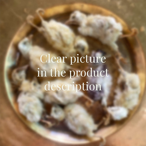 Whole Prey Chick 2PC | 22 PC | Crumble