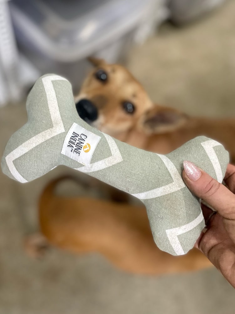 Wholesome Bone Shaped Dog Toy handmade & resourceful