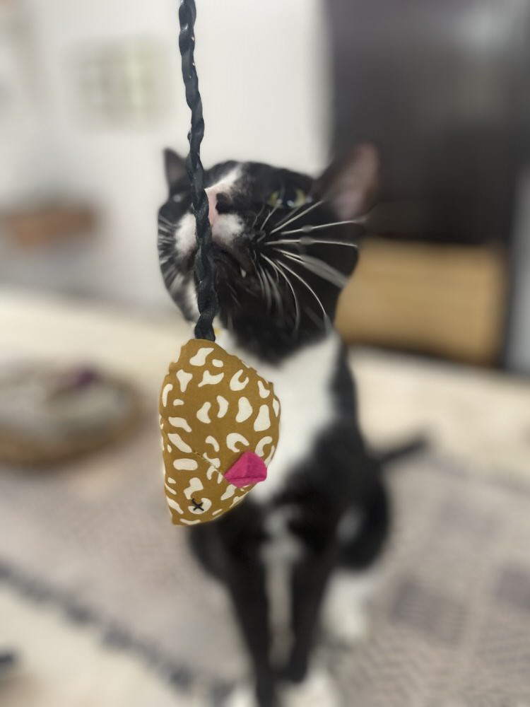 Wholesome organic Catnip stuffed Mouse Toy for Cats