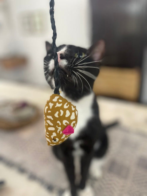Wholesome organic Catnip stuffed Mouse Toy for Cats