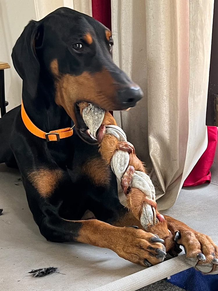 XXL Braid - Boneless Chews - easy digestion & dental health - MYLO's Special