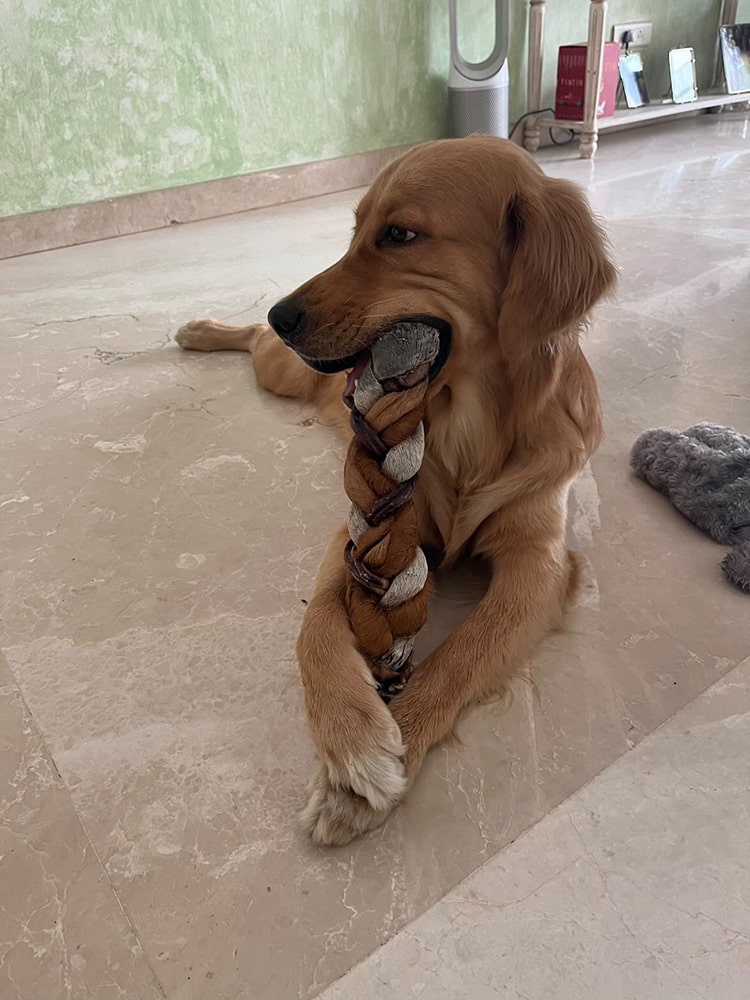 XXL Braid - Boneless Chews - easy digestion & dental health - MYLO's Special