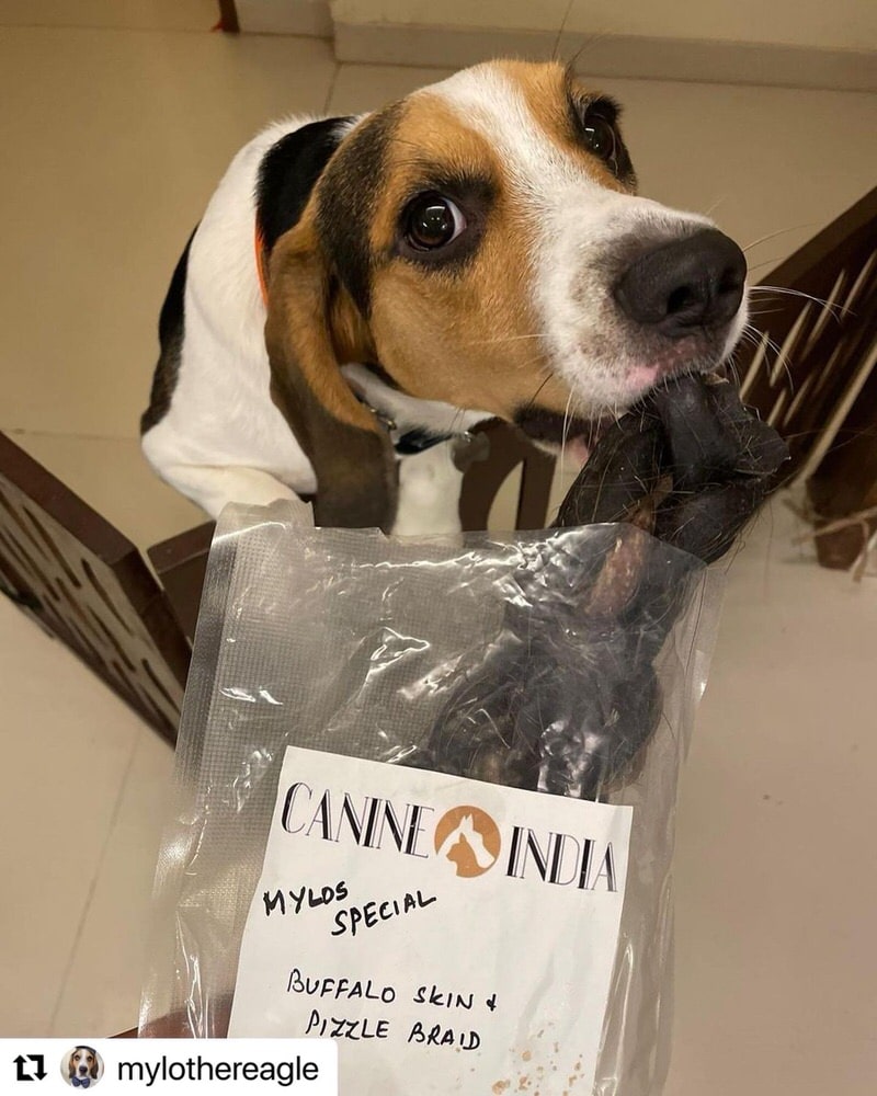 XXL Braid - Boneless Chews - easy digestion & dental health - MYLO's Special