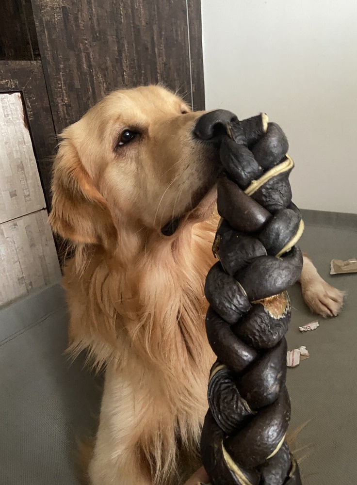 XXL Braid - Boneless Chews - easy digestion & dental health - MYLO's Special