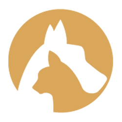 Canine India
