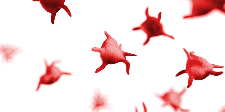 Do you have to worry about your pet's Platelets?
