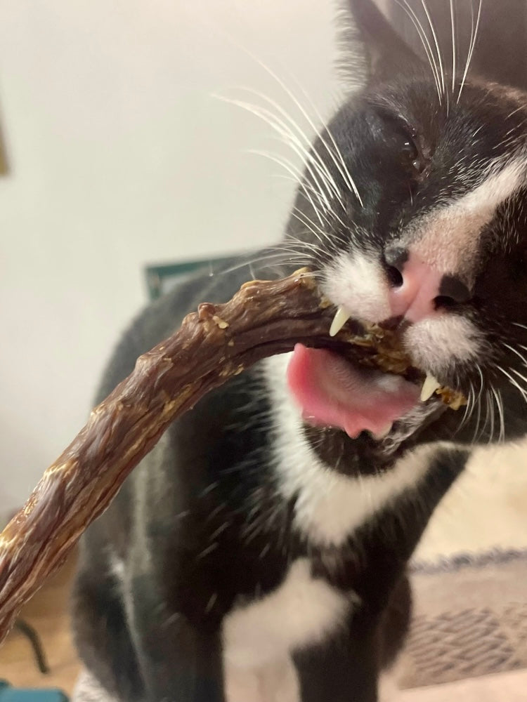 Cats Natural Chews NEW