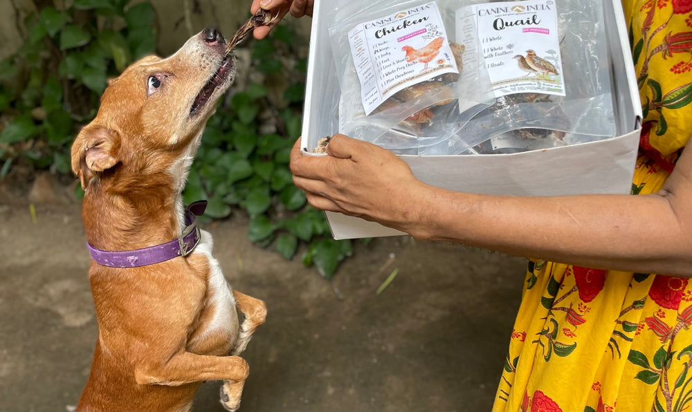Airdried Food