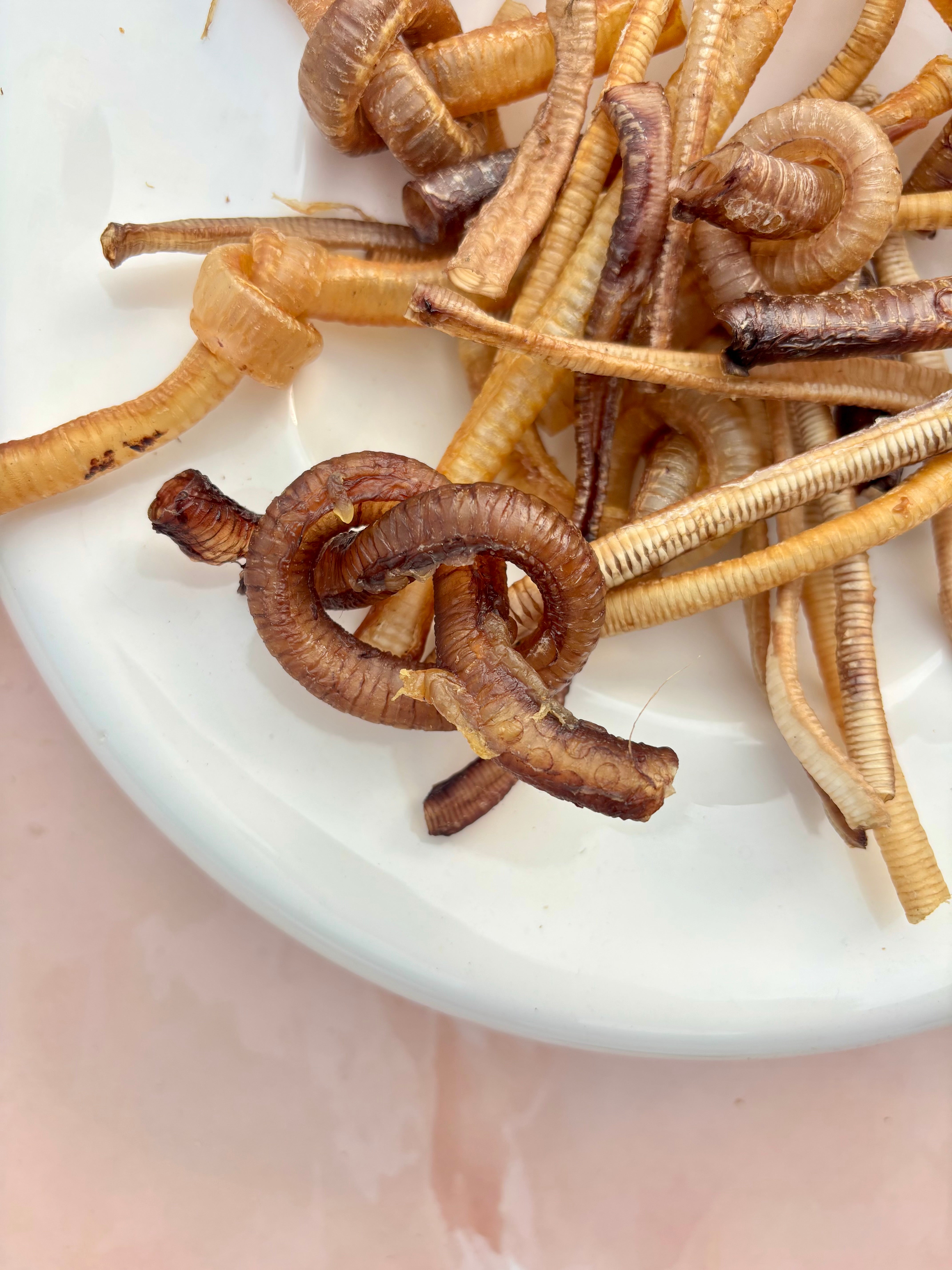 Mini Tracheas - Turkey & Duck Mix