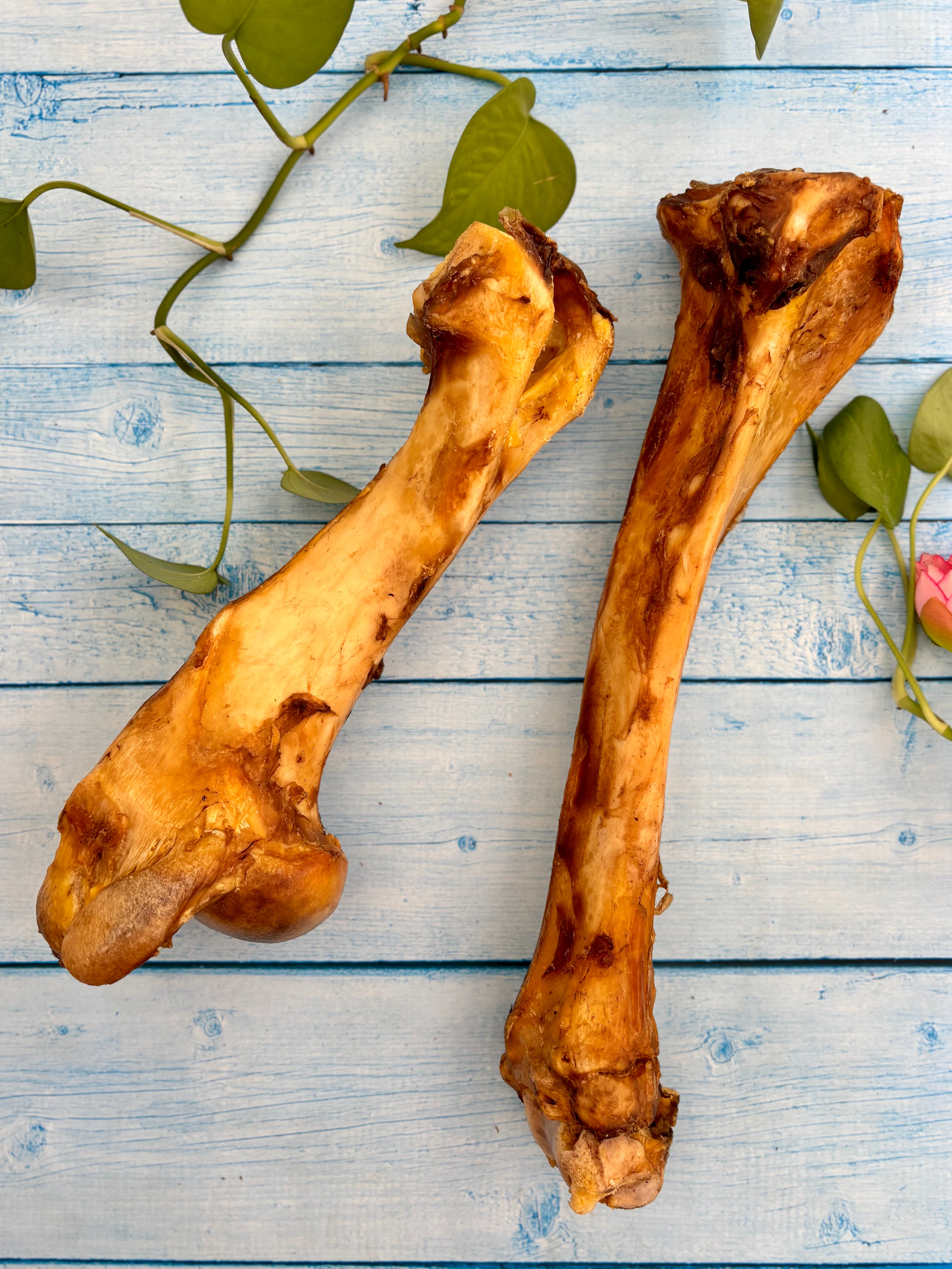 Beef Jumbo Bones - Megasize Chewbone - SPECIAL