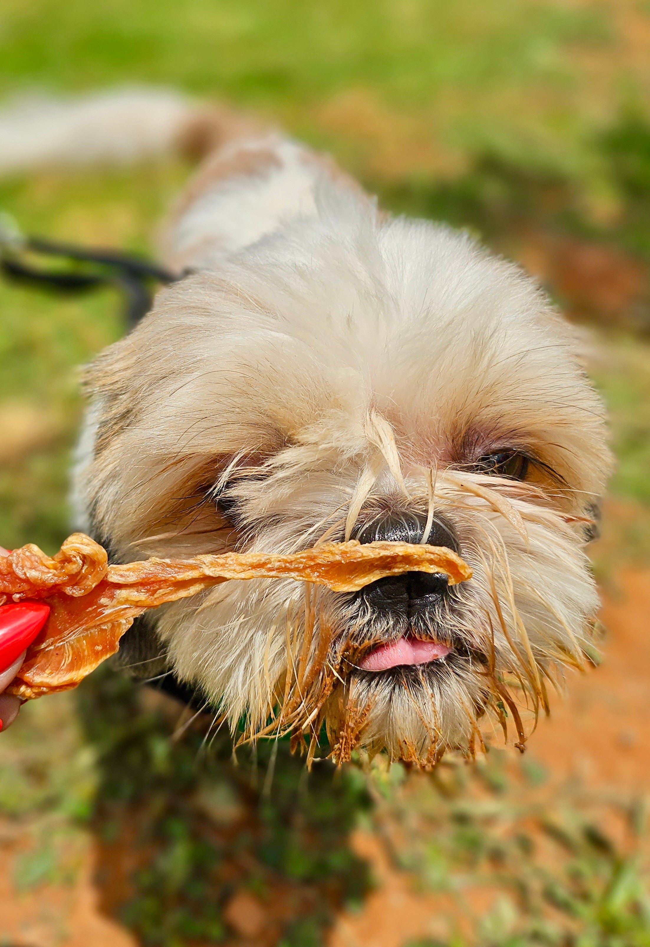 Chicken Jerky Strips
