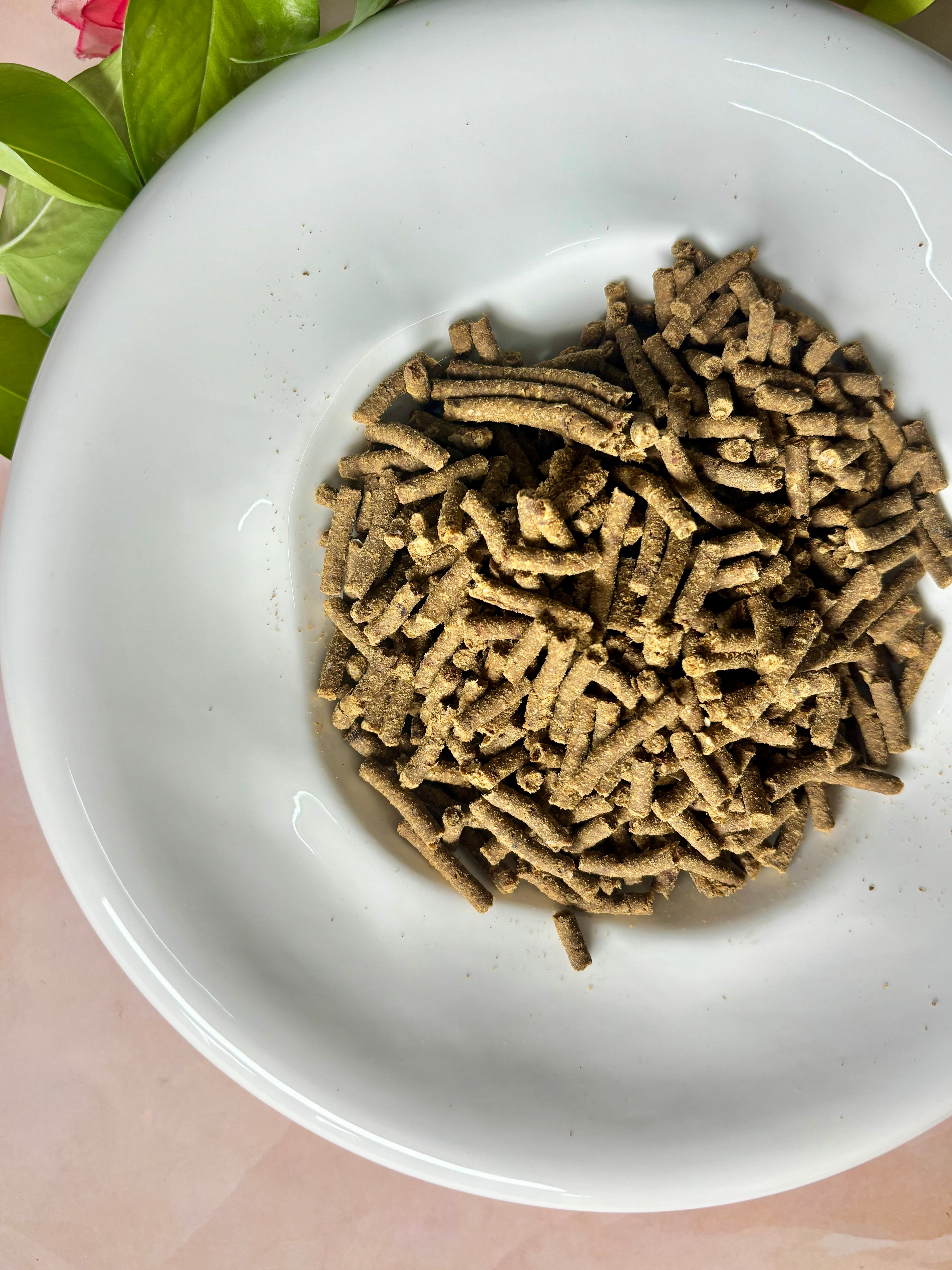 Fibre & Fish Meal