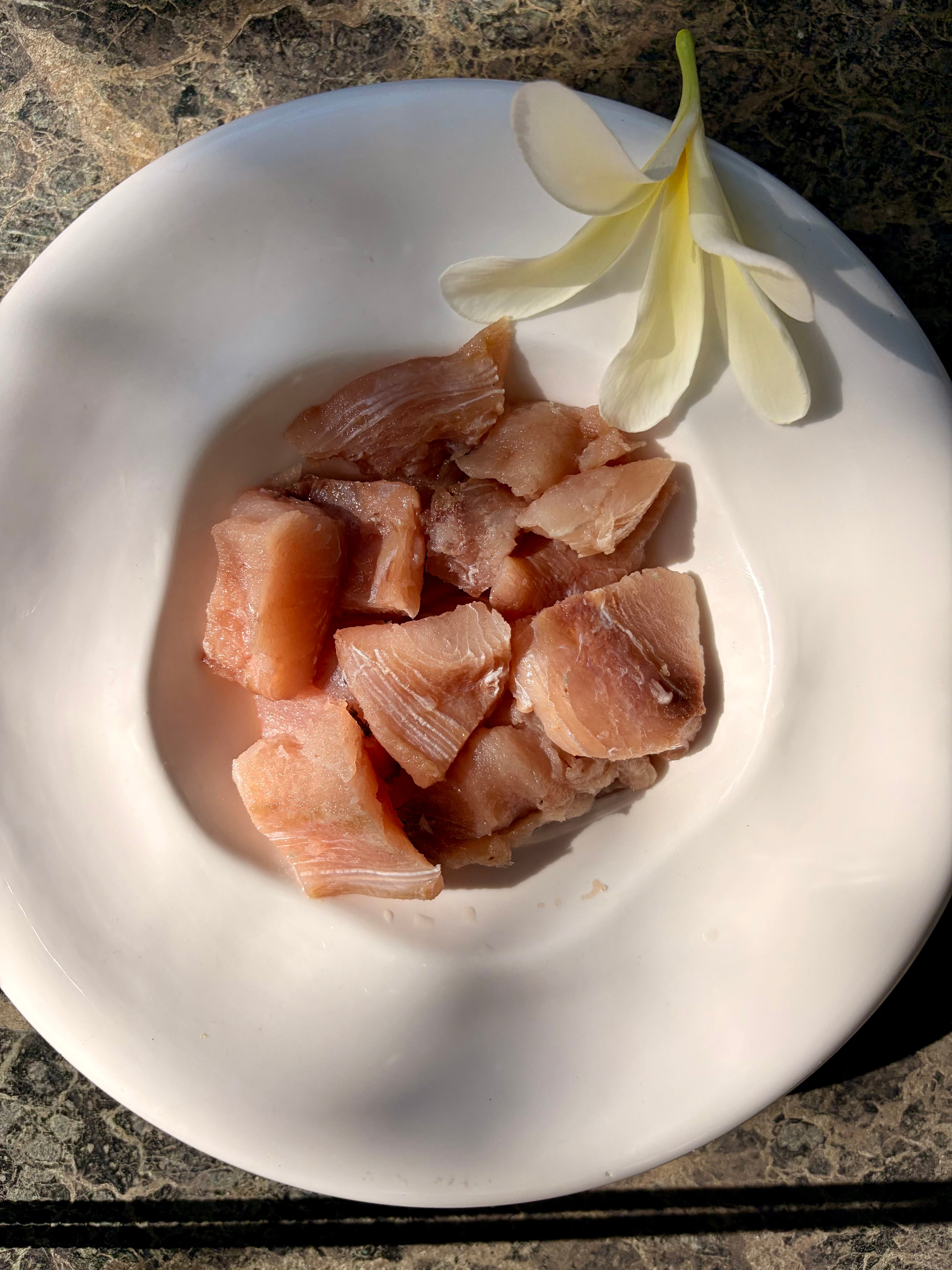 Mahi Mahi Fish Fillet