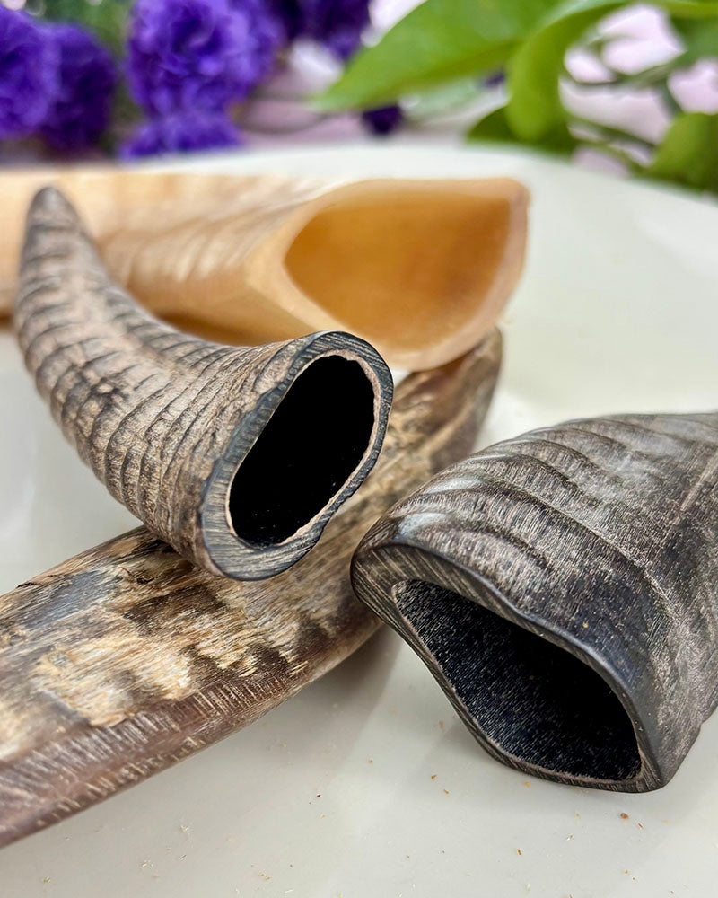 Goat Horn Chew - natural & reusable Toppl / Kong SPECIAL
