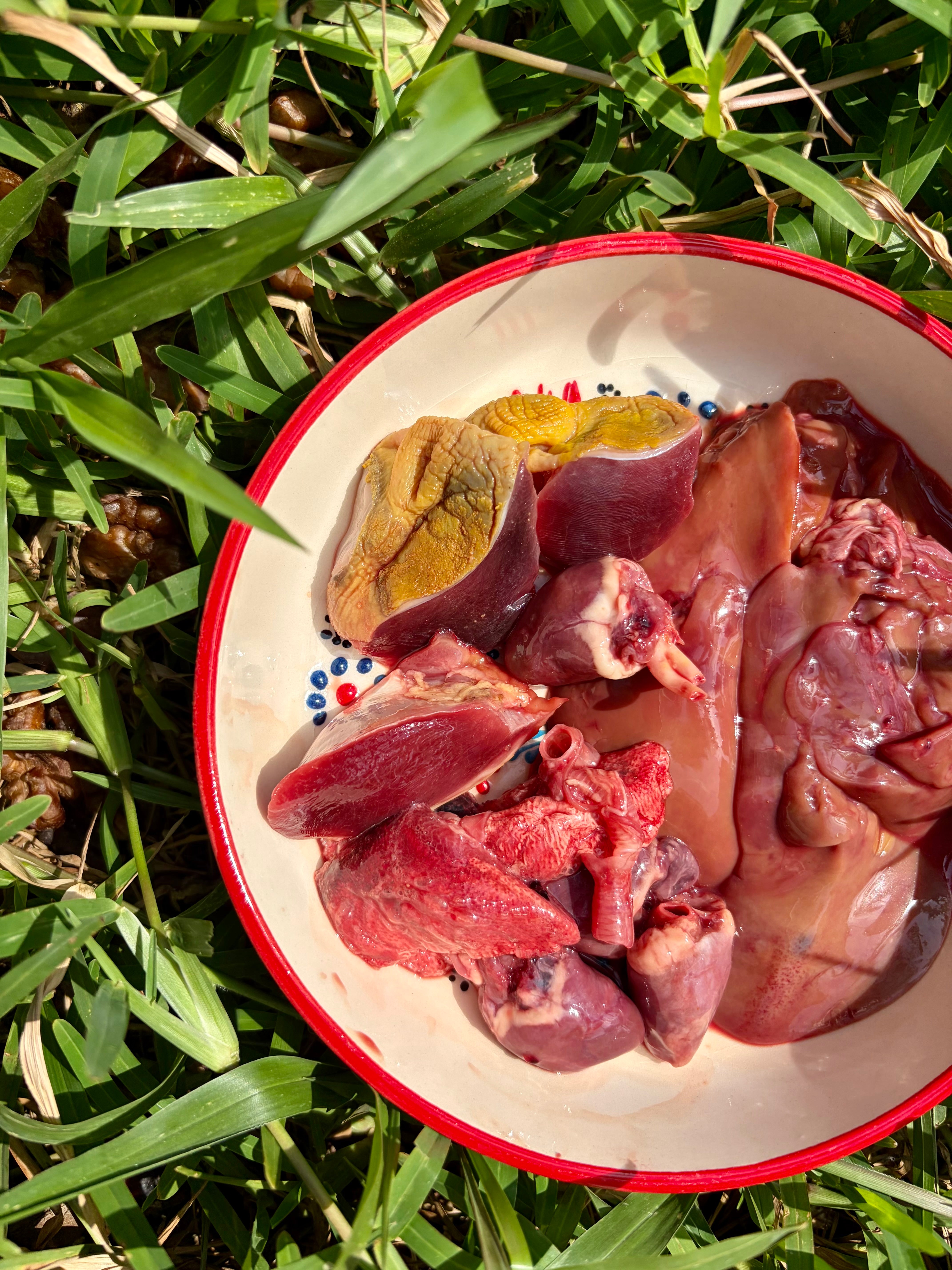 Duck Organs (Variety)