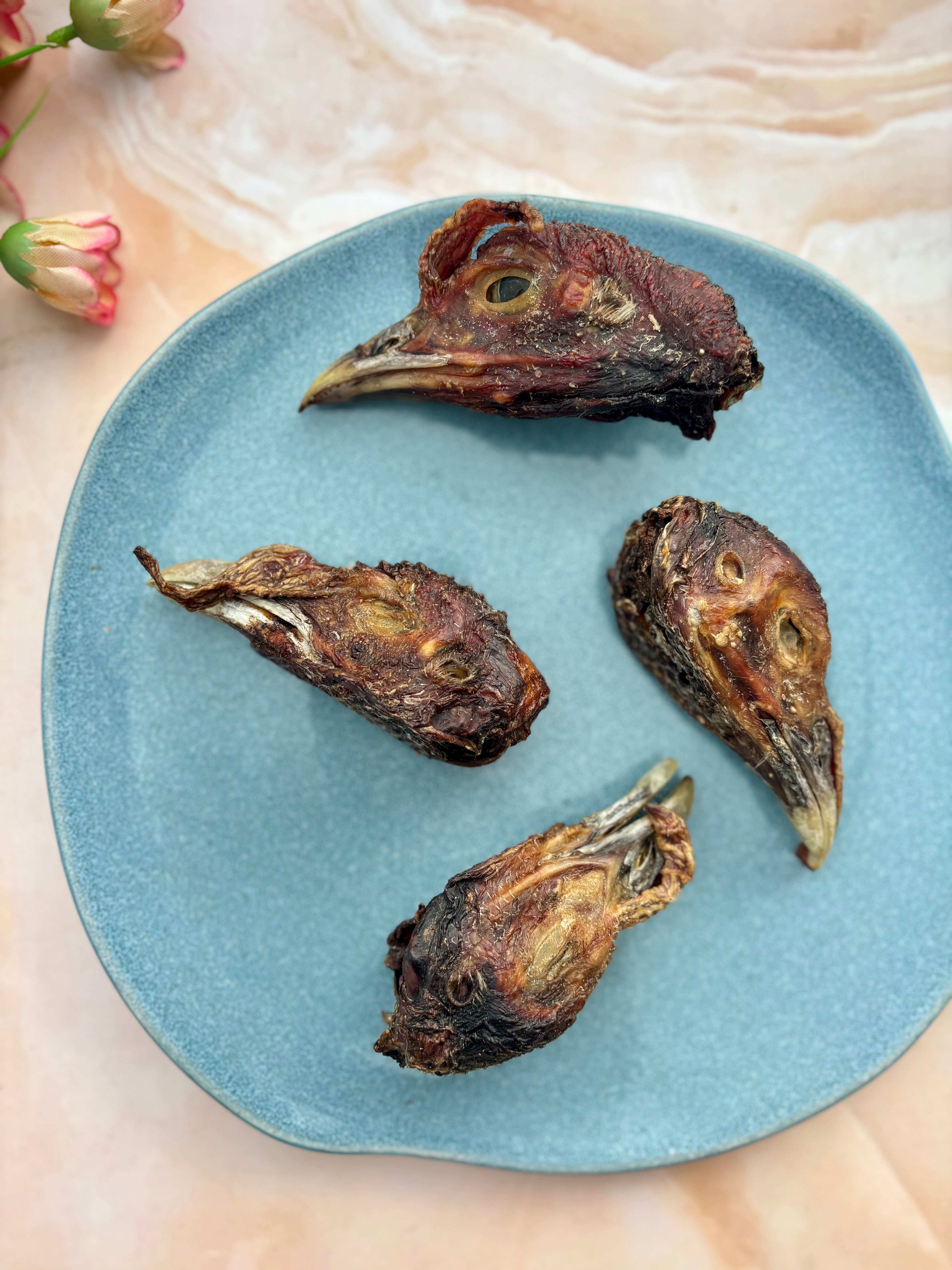 Turkey Heads - SPECIAL