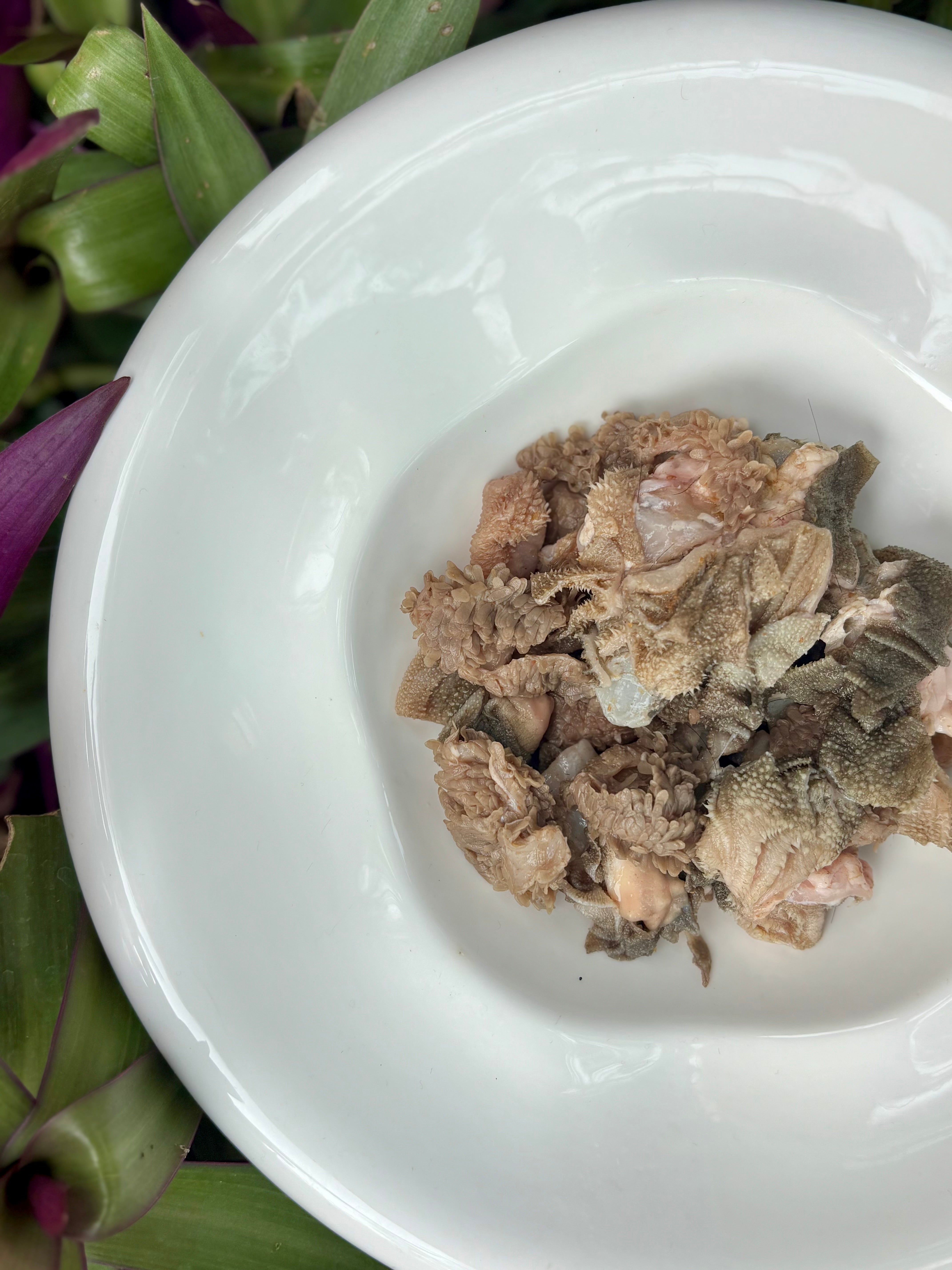 Green Tripe (Goat or Beef)