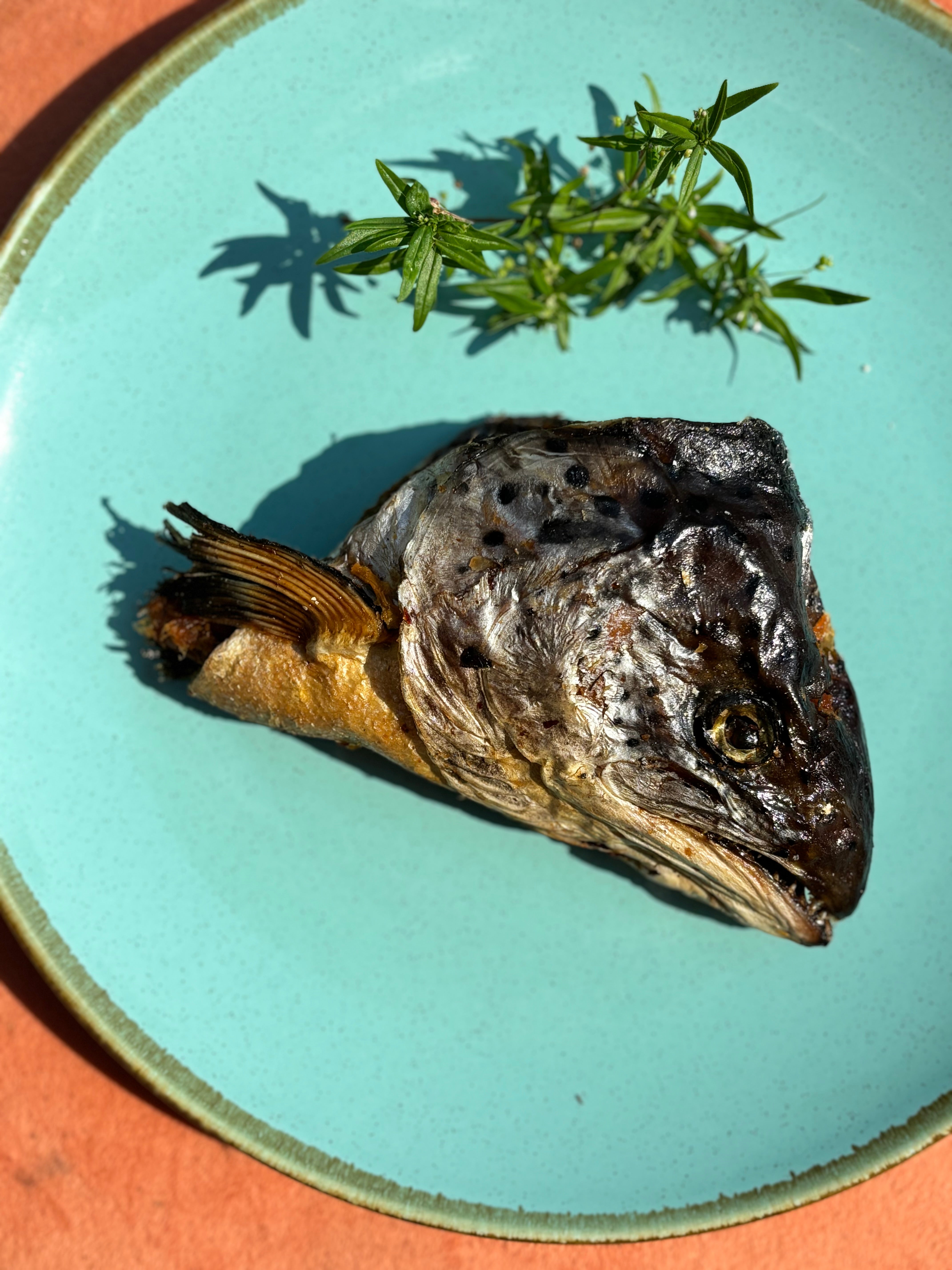 Norwegian Salmon Whole Heads