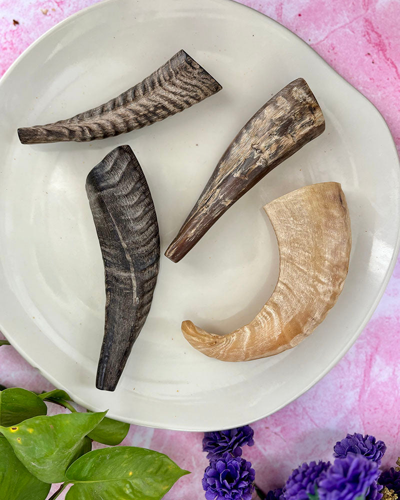 Goat Horn Chew - natural & reusable Toppl / Kong SPECIAL