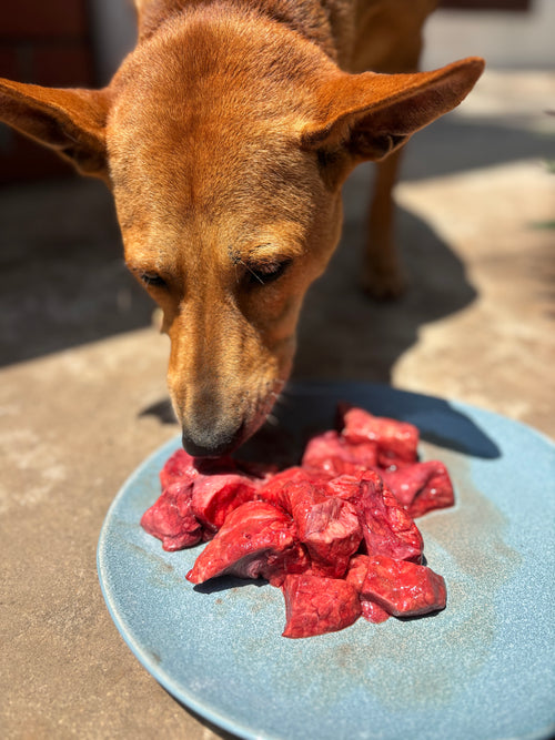 Beef Organs (Variety)