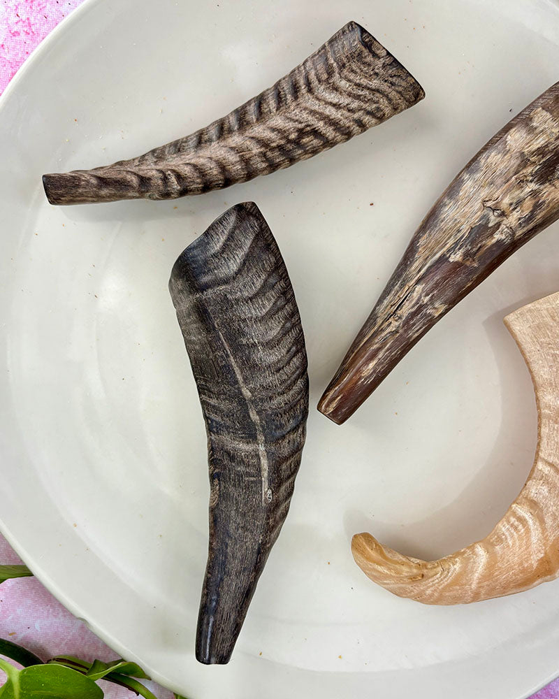Goat Horn Chew - natural & reusable Toppl / Kong SPECIAL