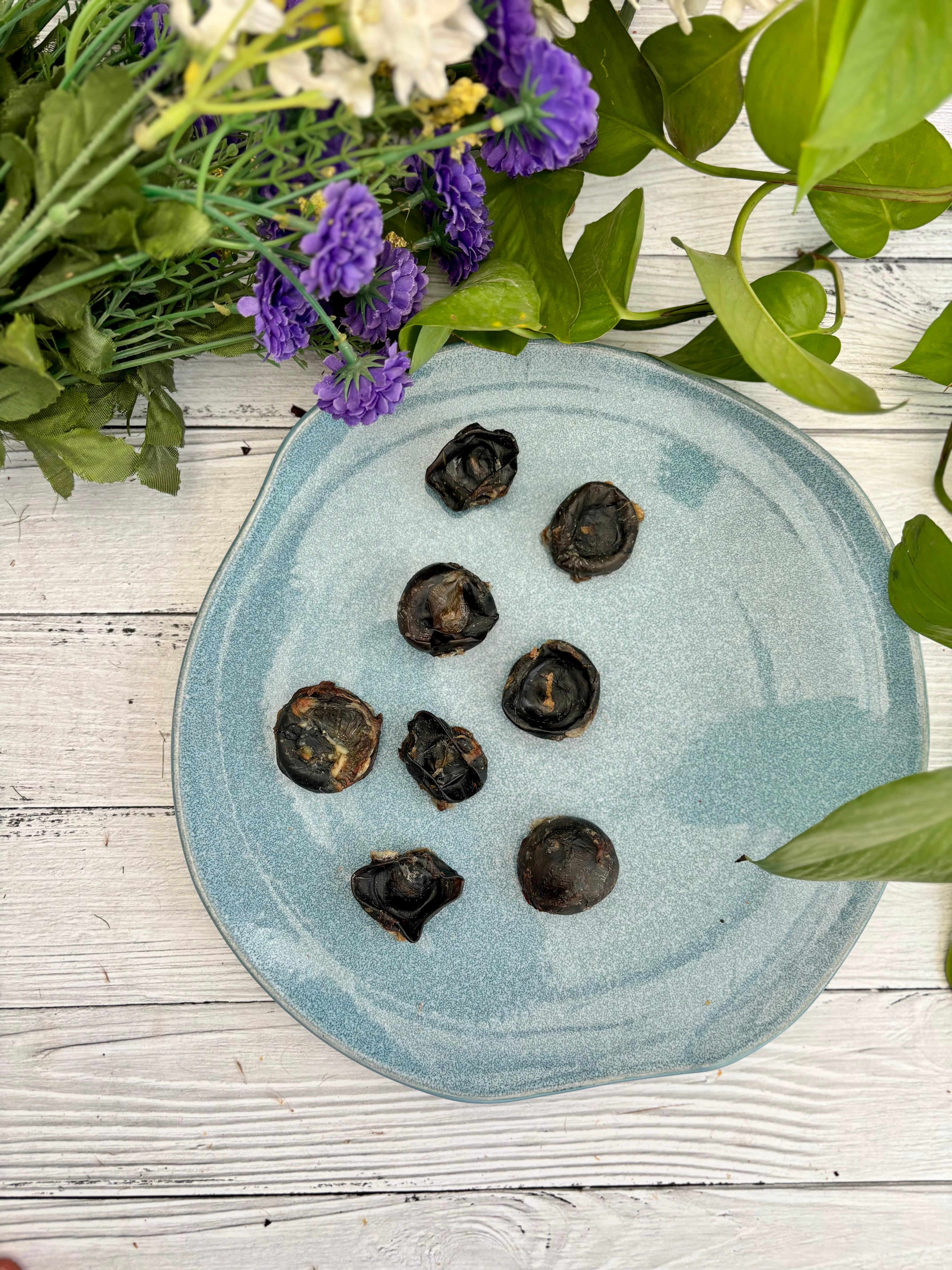 Beef / Buffalo Eyeballs - SPECIAL