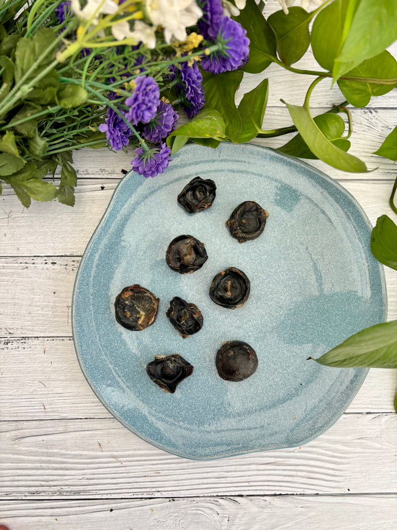 Beef / Buffalo Eyeballs - SPECIAL