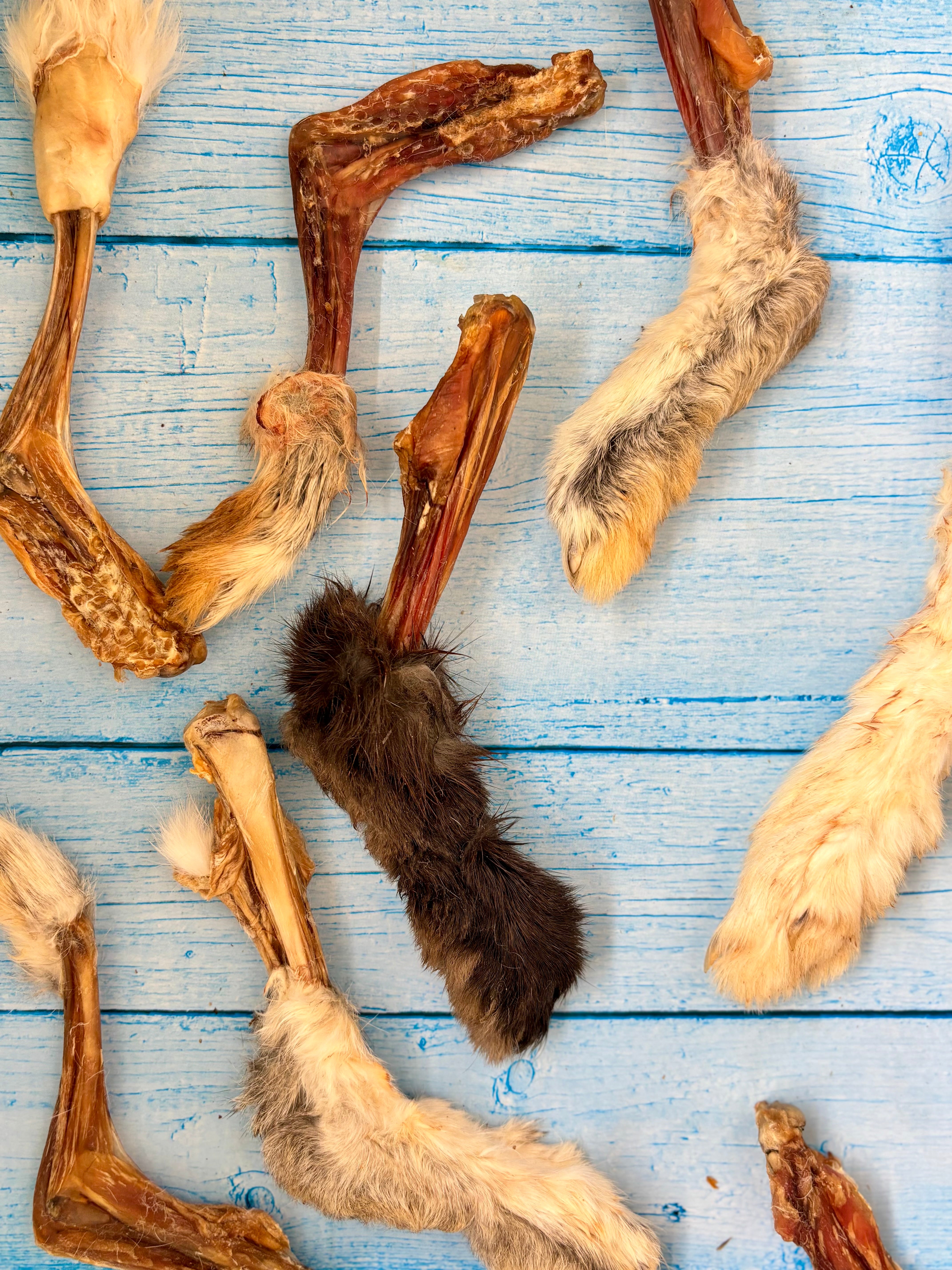 Rabbit Paw Pack - detoxing Chew