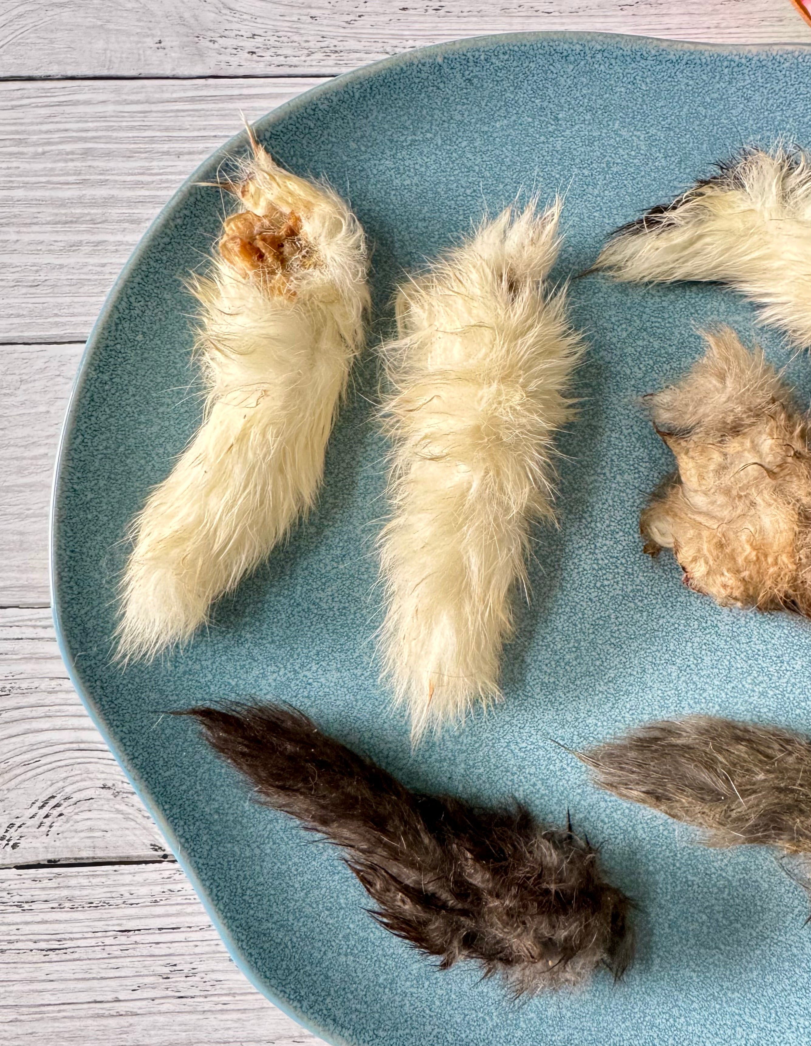 Rabbit Pinkies (Tails) - SPECIAL