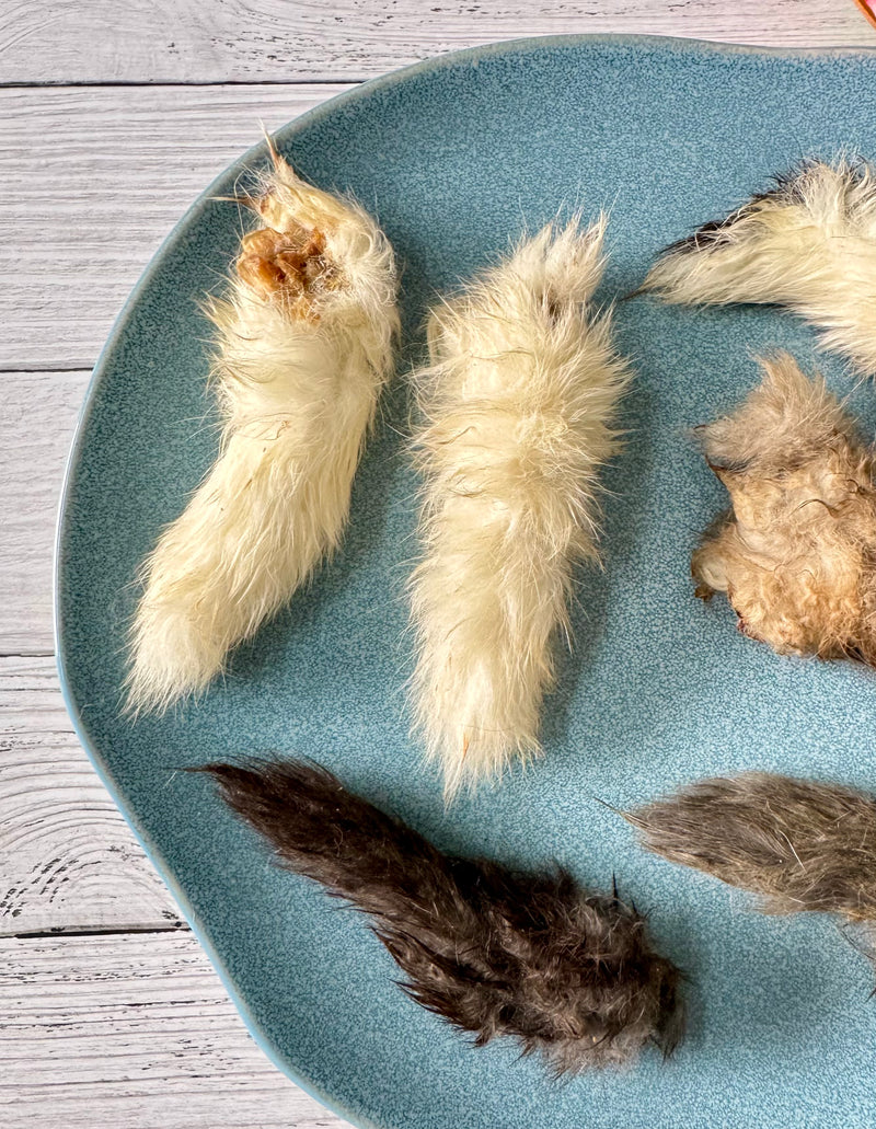 Rabbit Pinkies (Tails) - SPECIAL