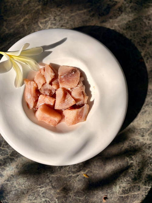 Mahi Mahi Fish Fillet
