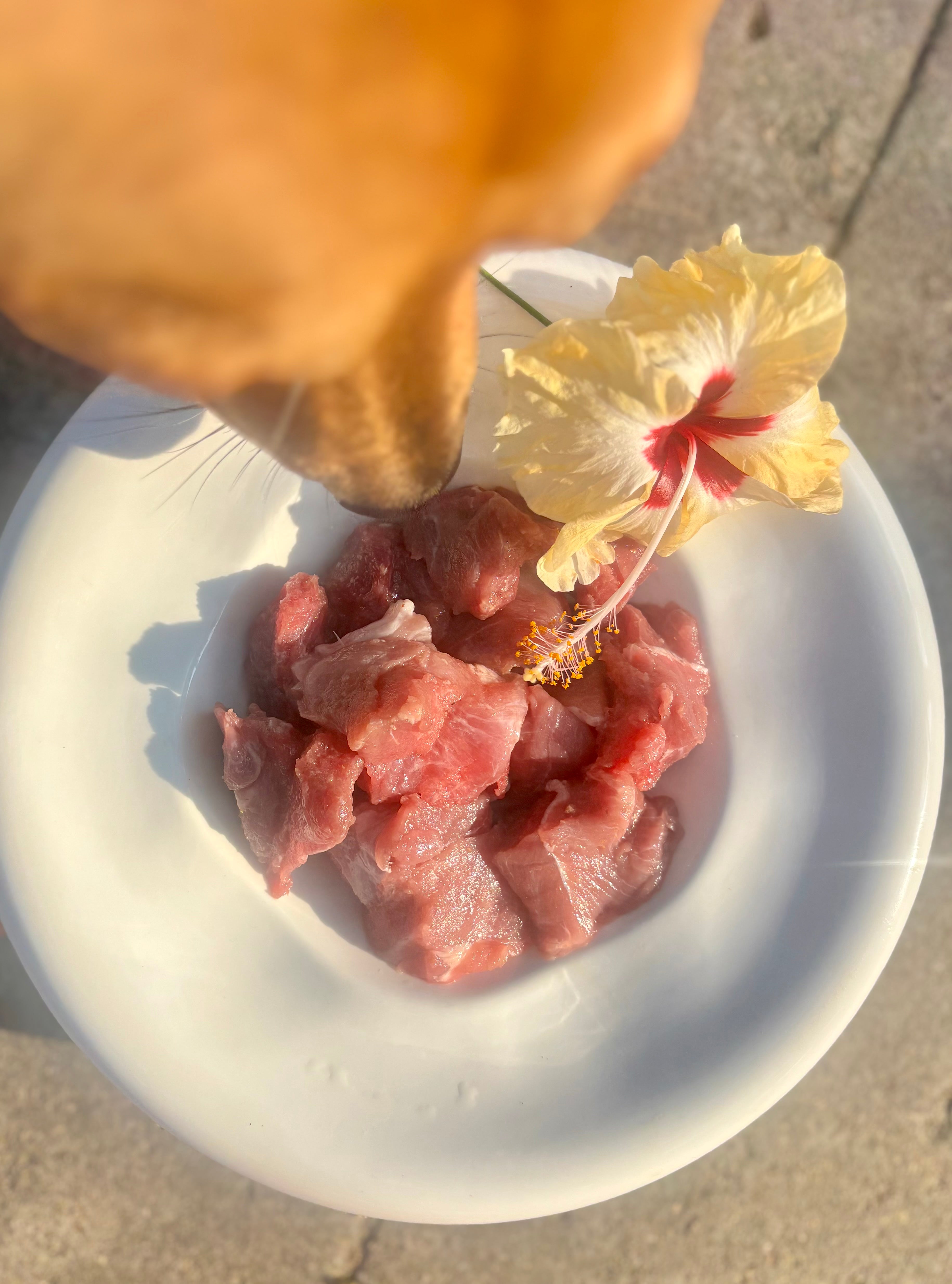 Lean Pork Fillet