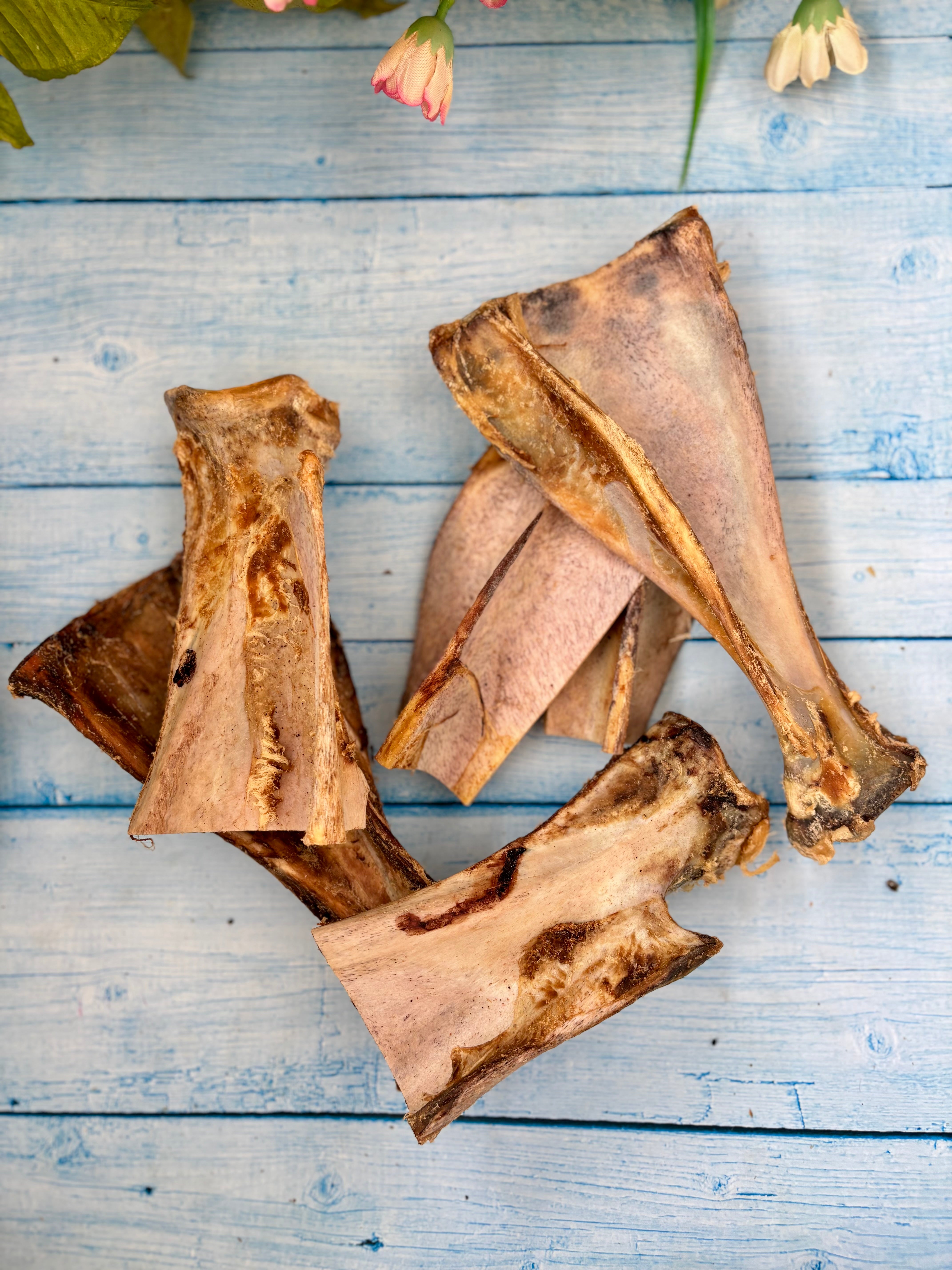 Beef Shoulder Bone 3PC