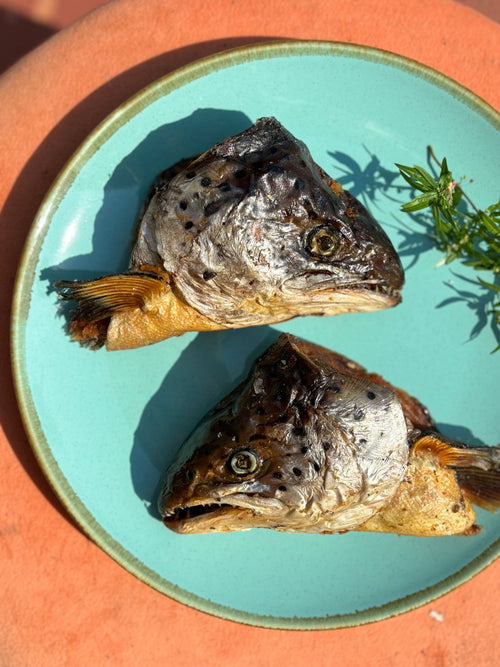 Norwegian Salmon Whole Heads