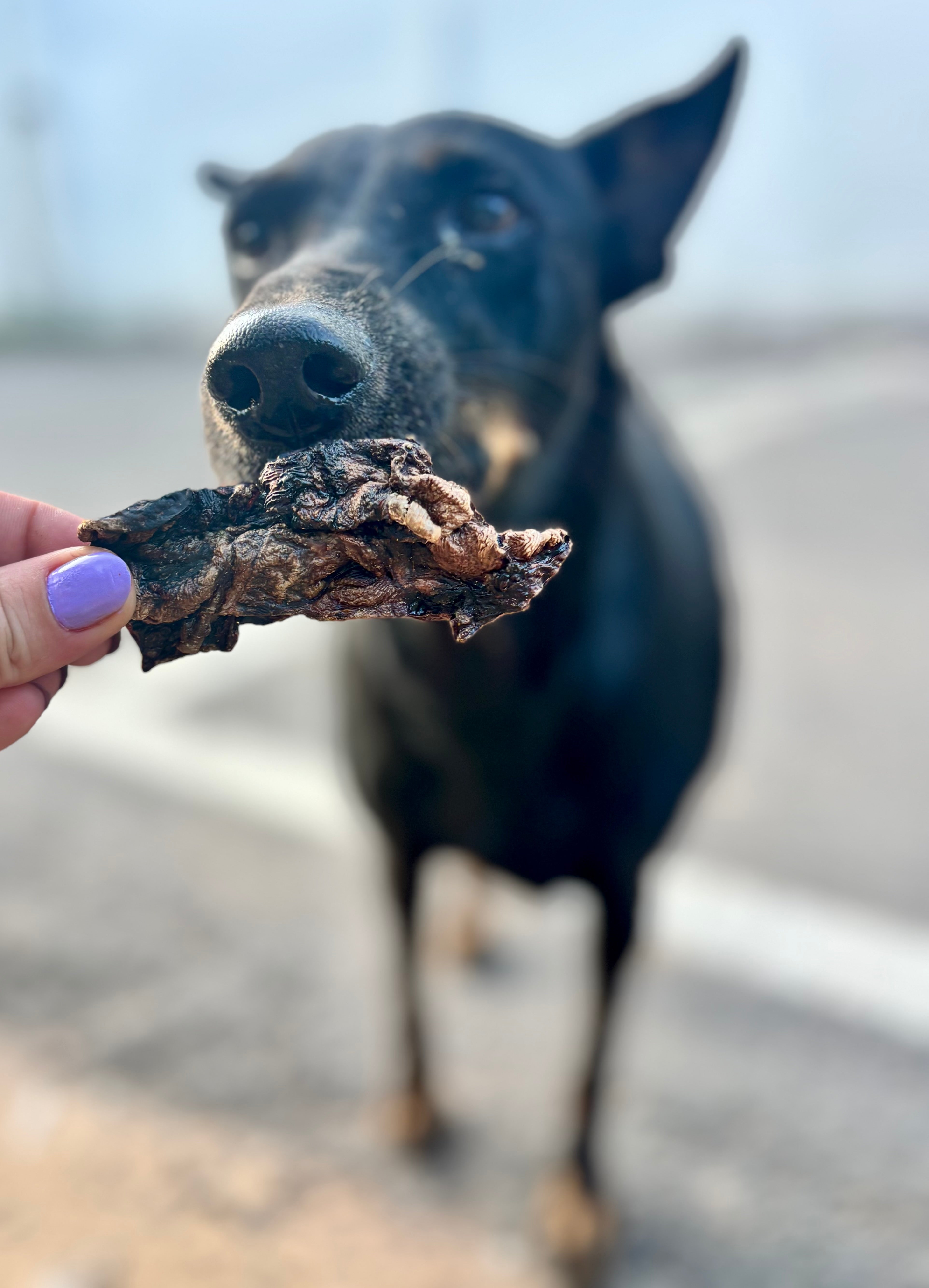 Turkey Lung & Heart