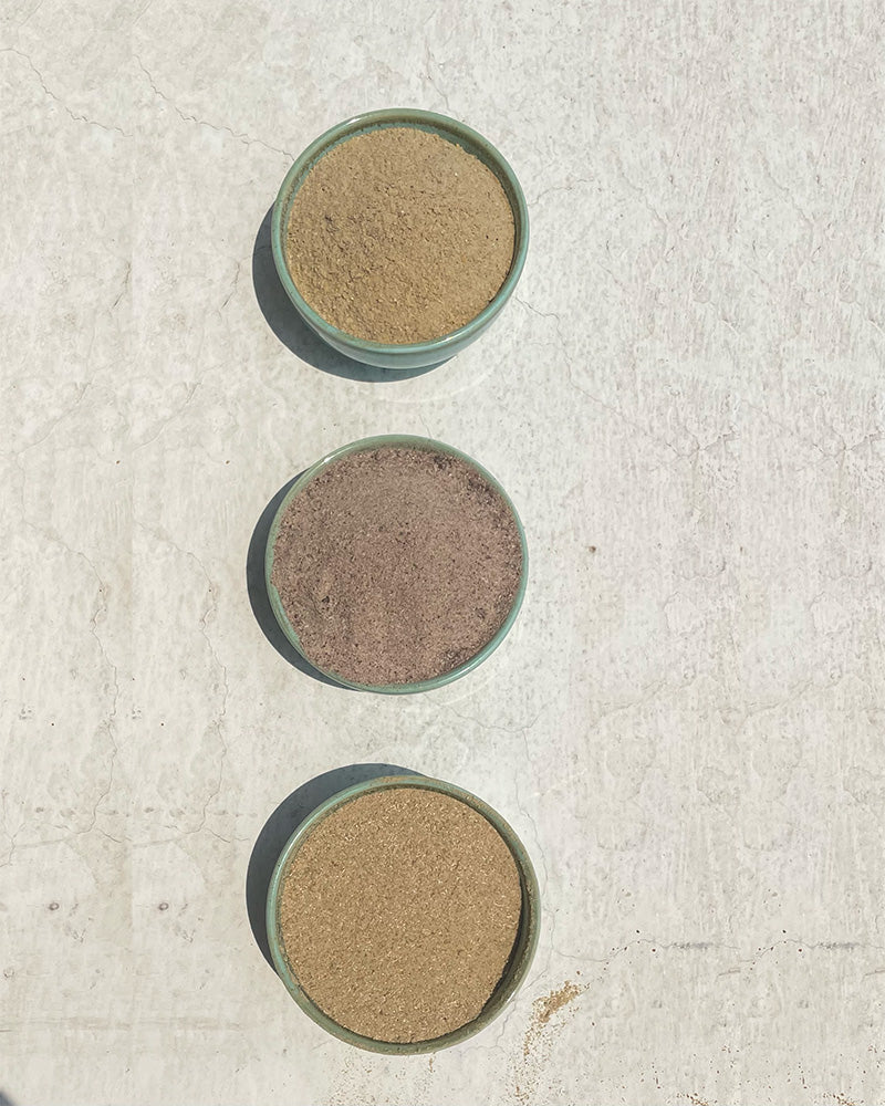 Digestive Relief Sampler (Soil Based Probiotics Powders)