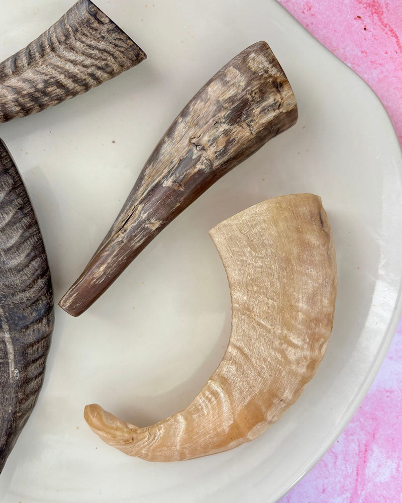 Goat Horn Chew - natural & reusable Toppl / Kong SPECIAL