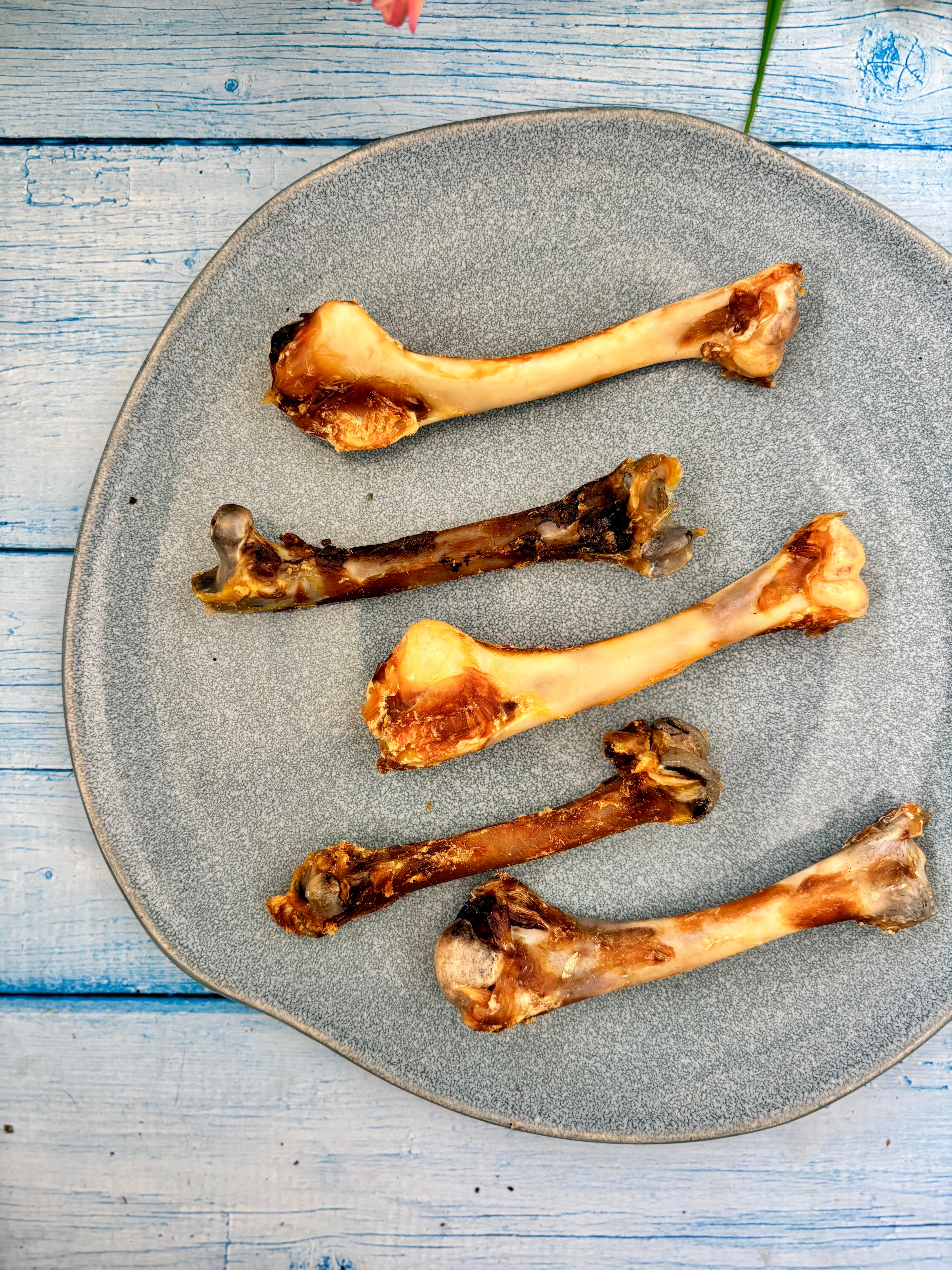 Turkey Chewbones
