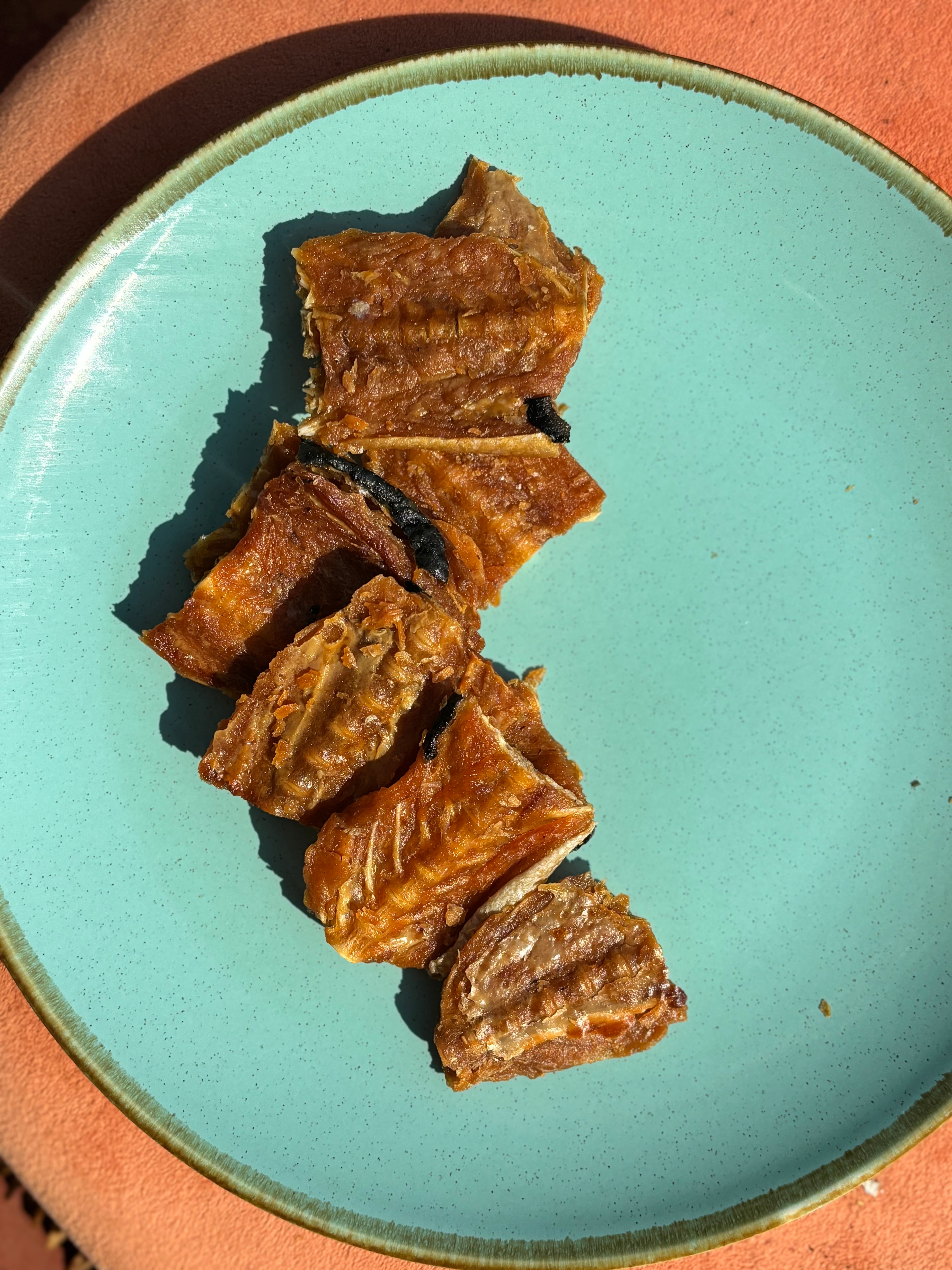 Norwegian Salmon Cartilage