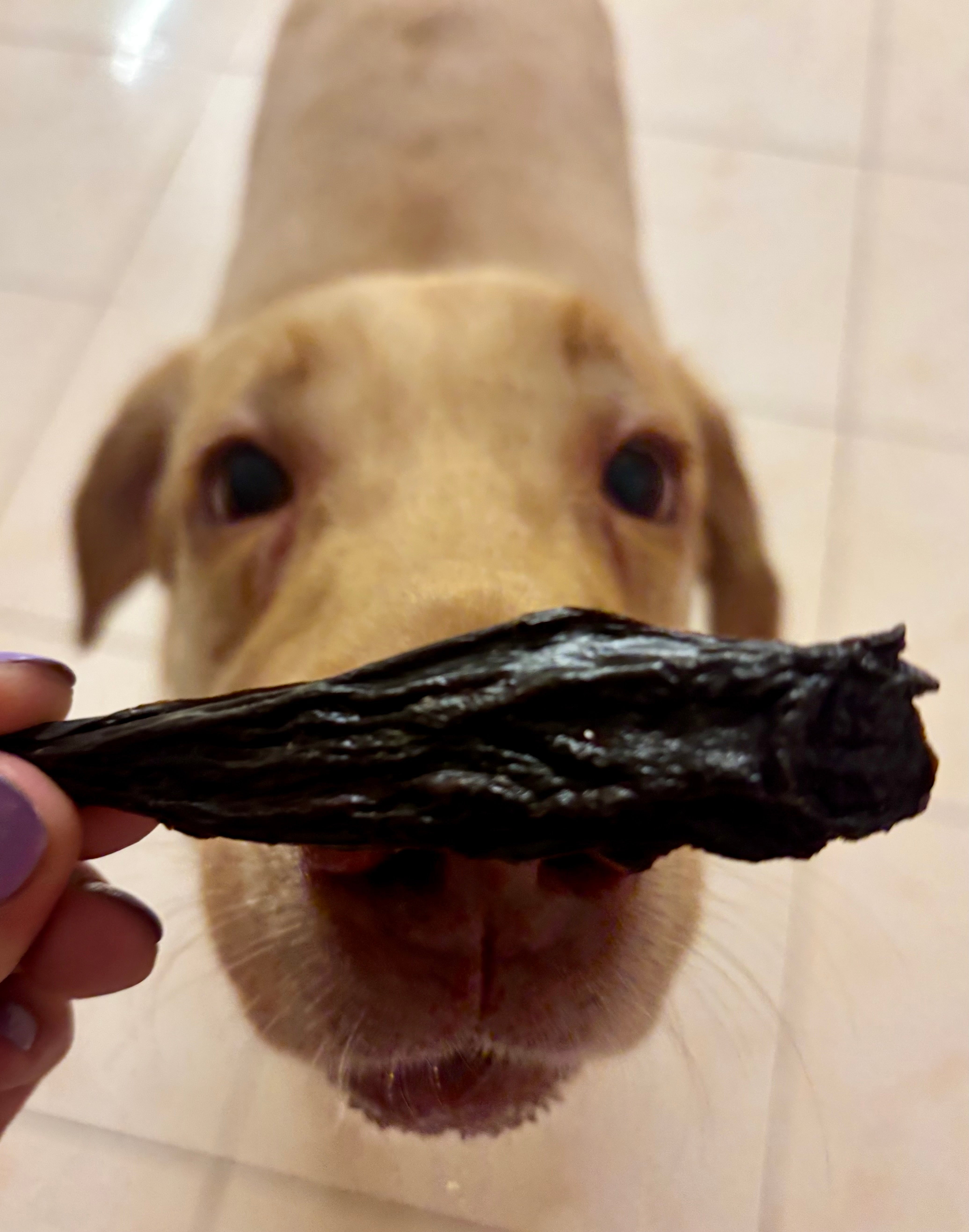 Beef Spleen Strips - SPECIAL