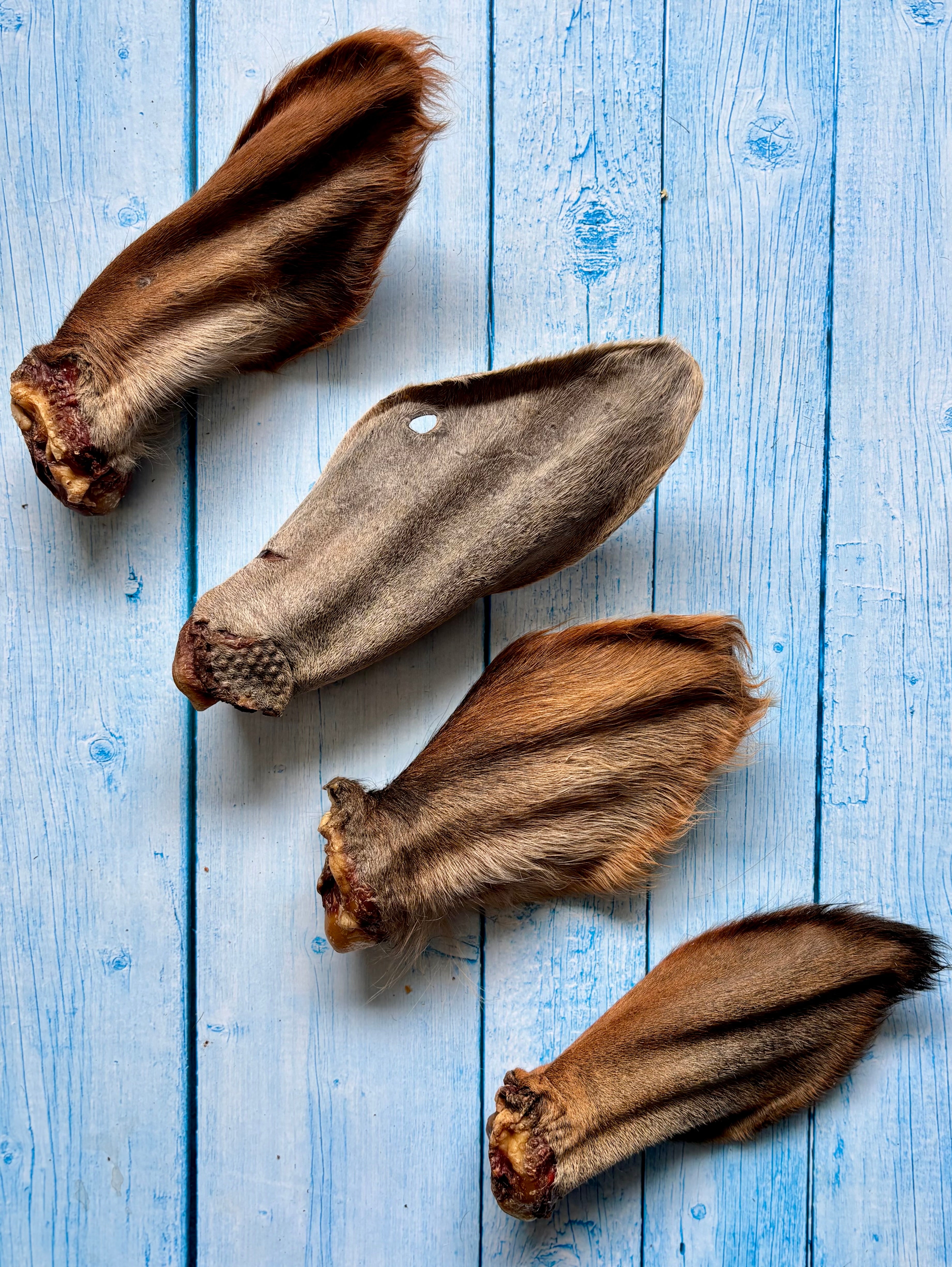 Beef Ears with Cartilage - SPECIAL