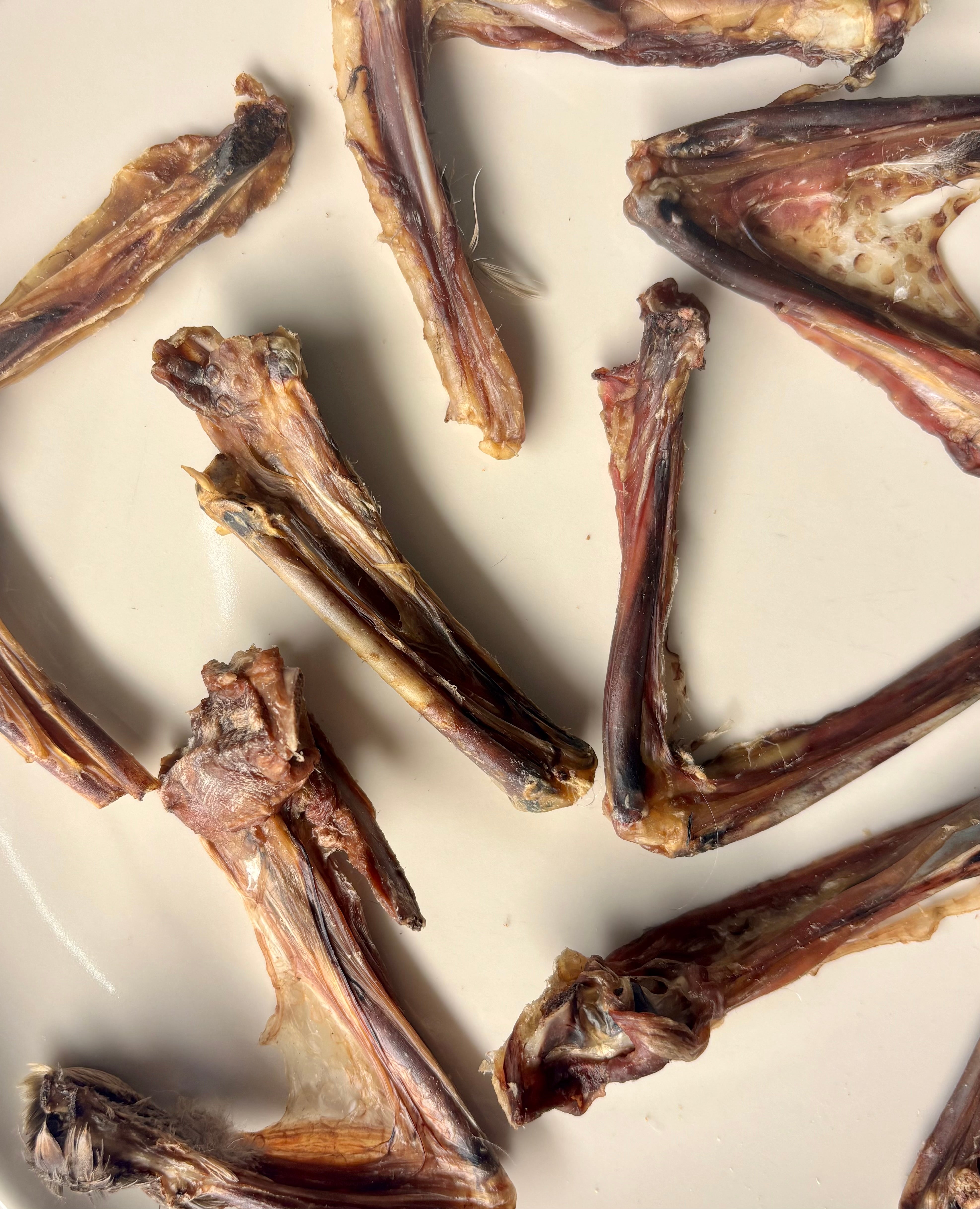 Duck Wings