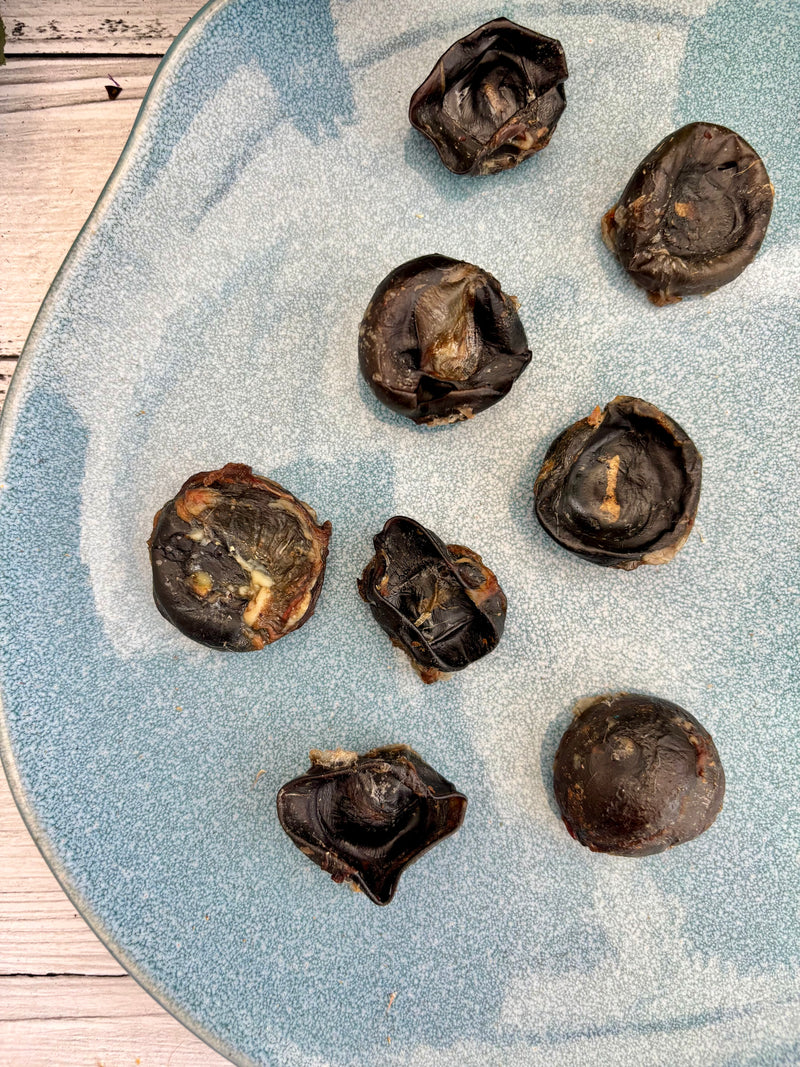 Beef / Buffalo Eyeballs - SPECIAL