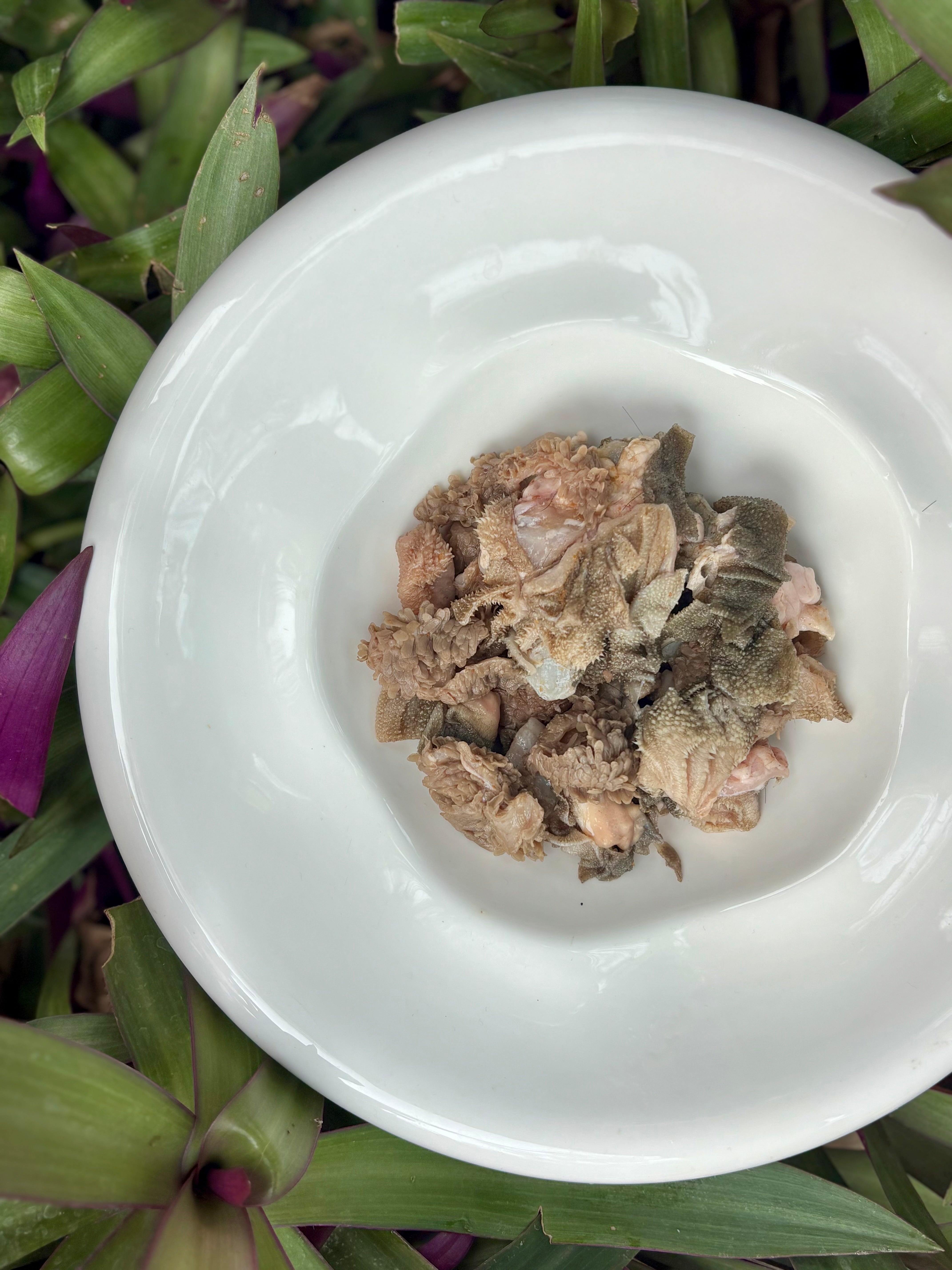 Green Tripe (Goat or Beef)