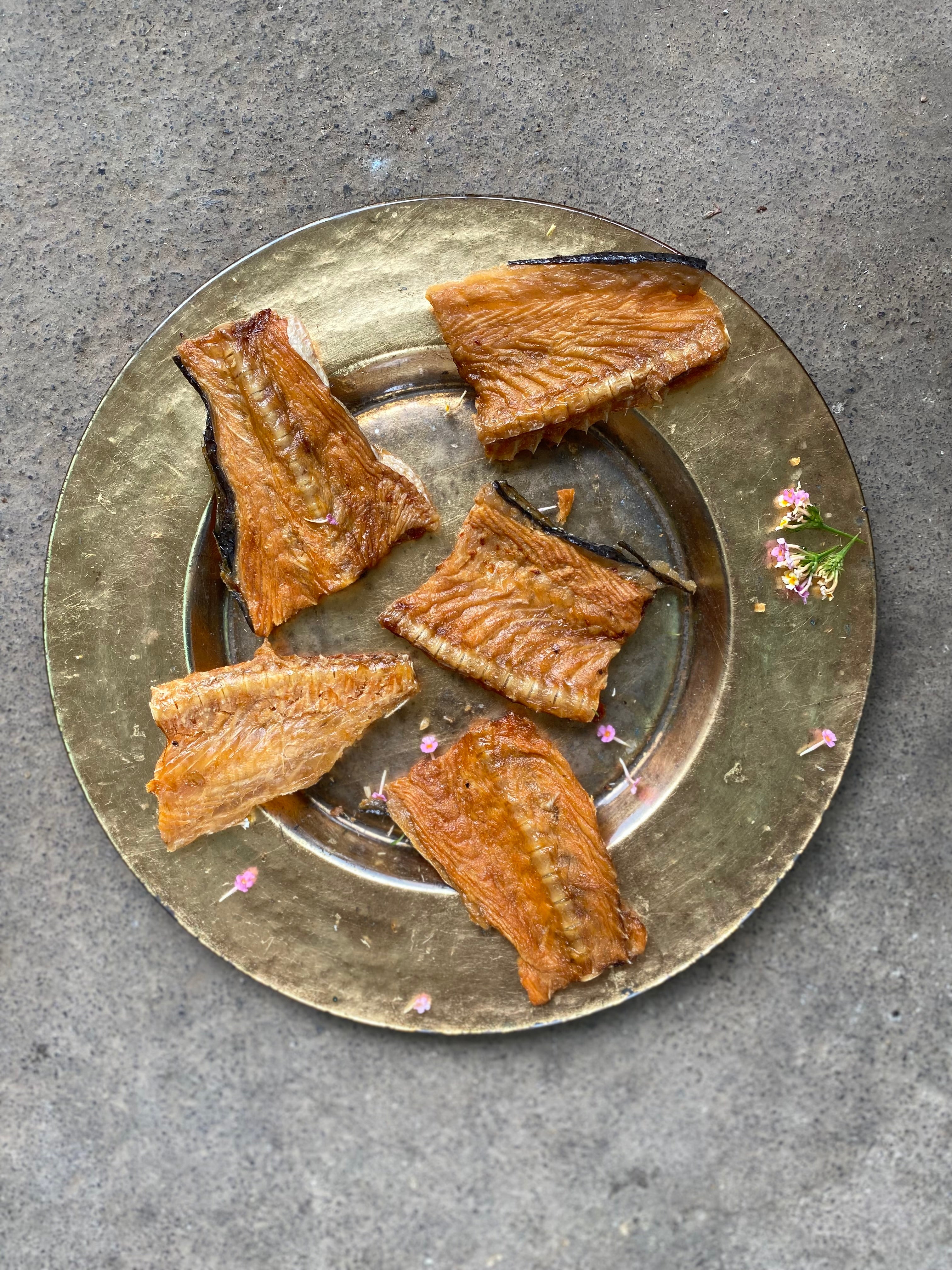 Norwegian Salmon Cartilage