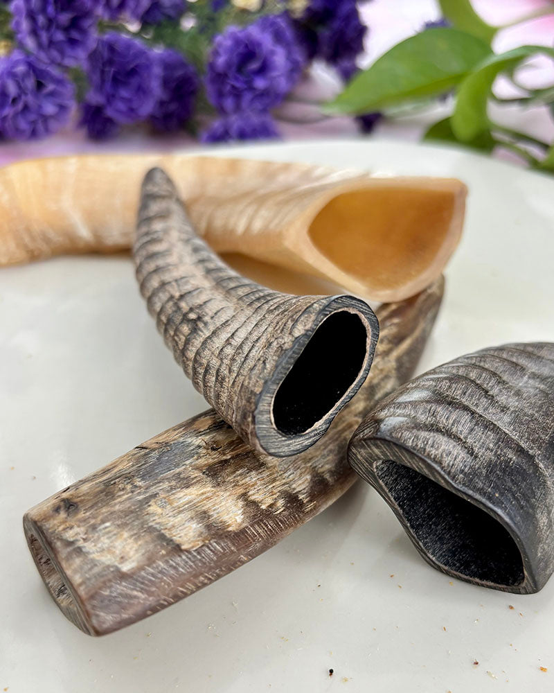 Goat Horn Chew - natural & reusable Toppl / Kong SPECIAL