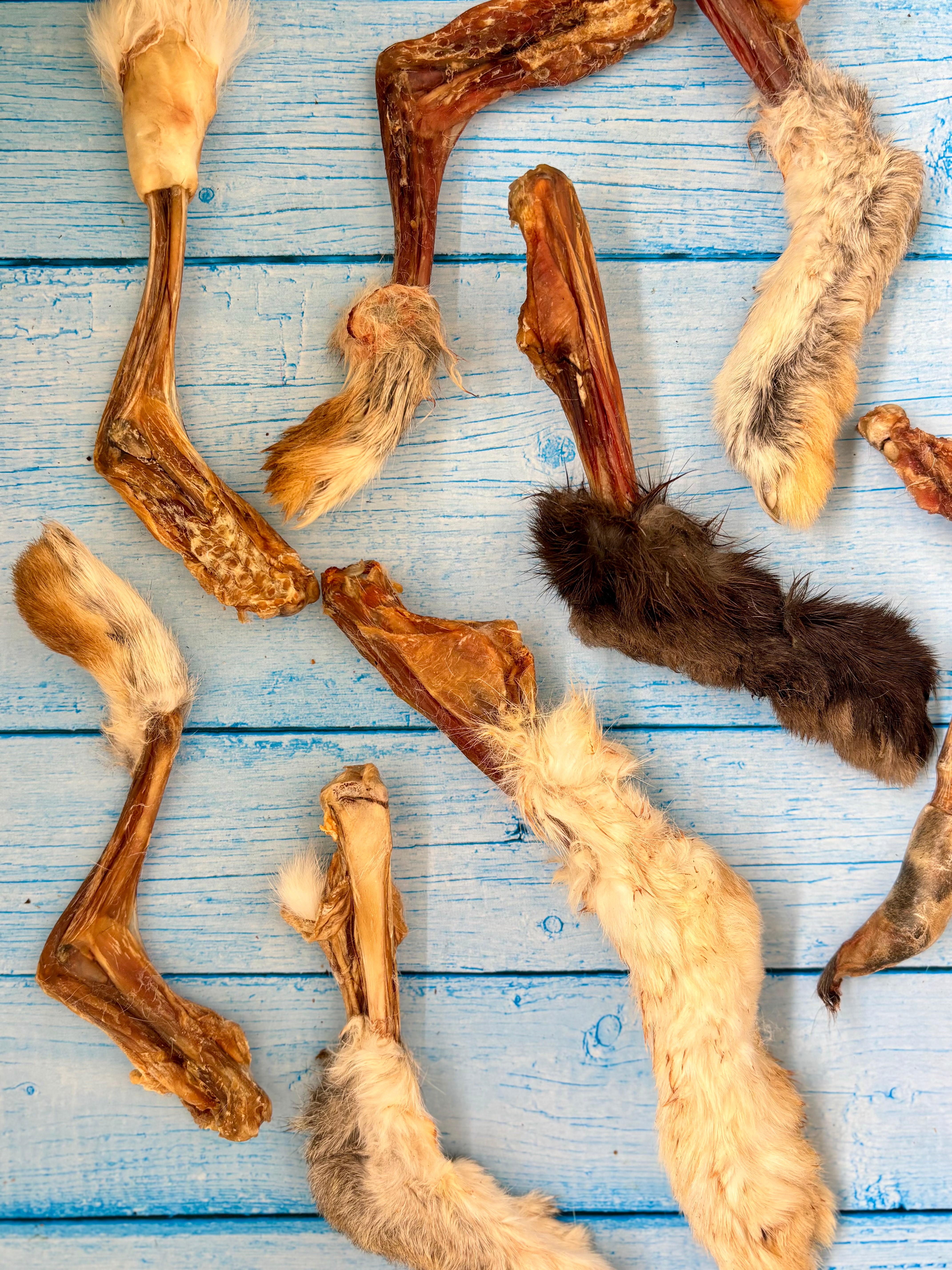 Rabbit Paw Pack - detoxing Chew