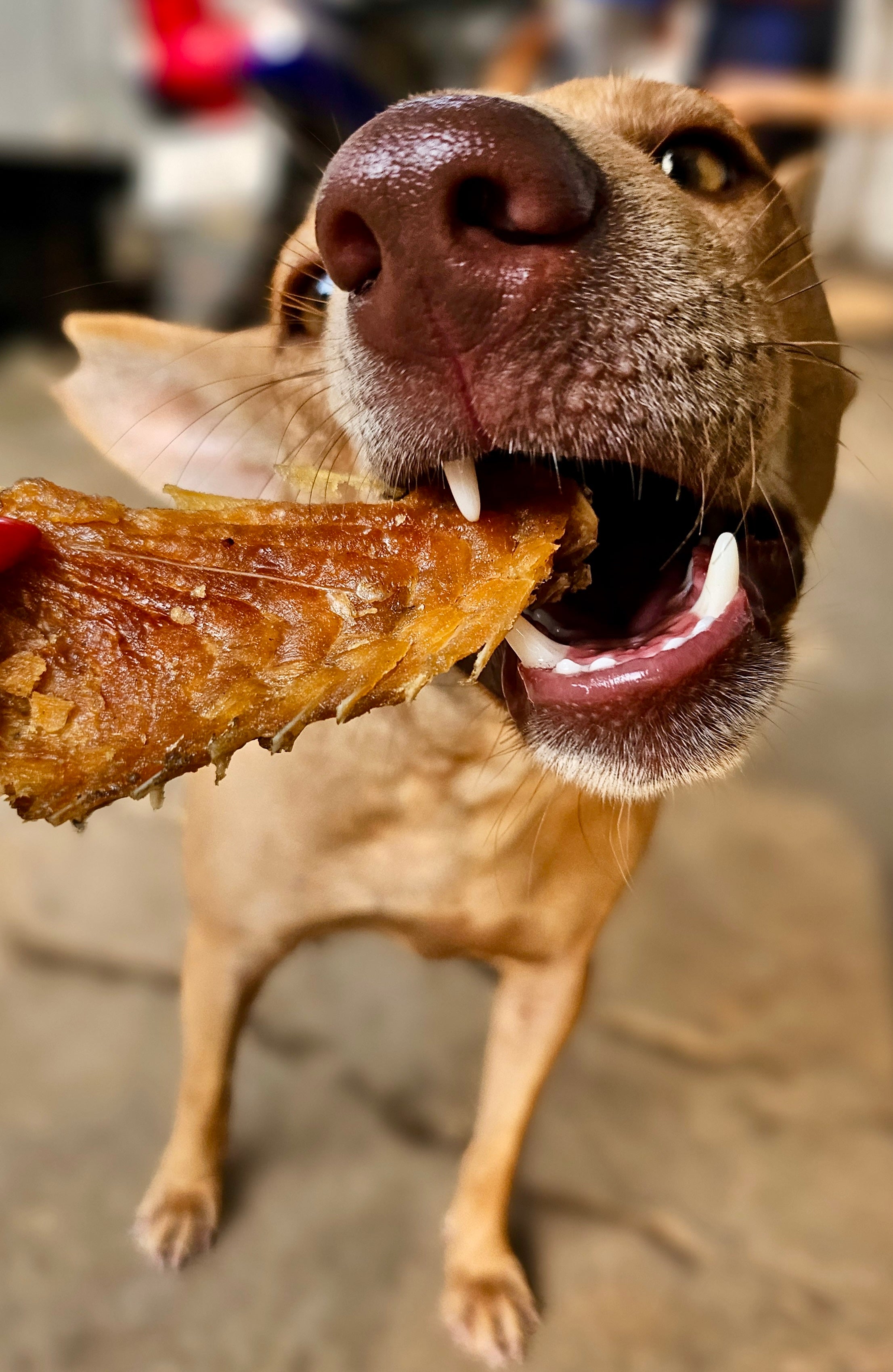 Norwegian Salmon Crumble